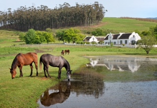 Oaks accommodation greyton weddings.jpg