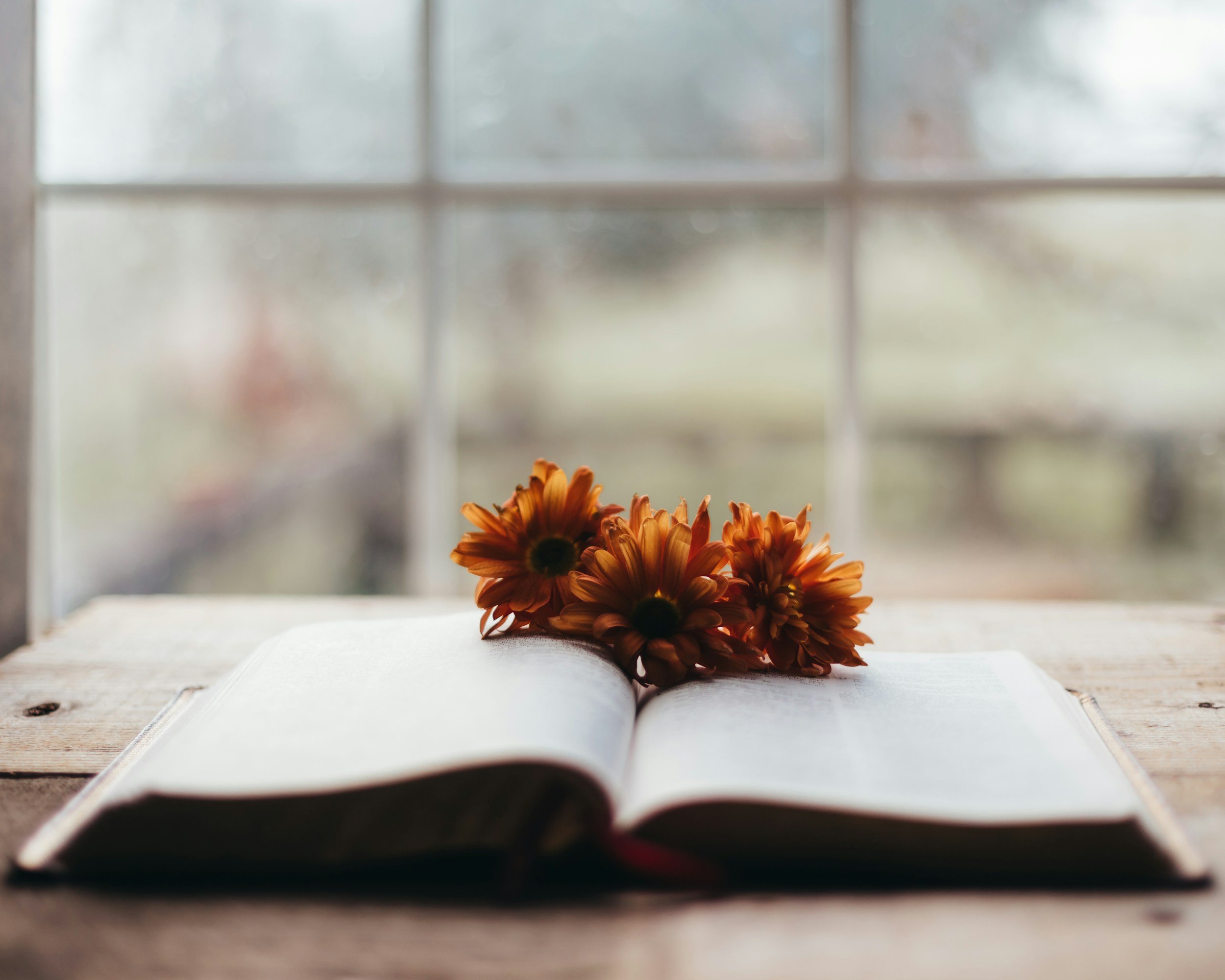 My Autumn Reading List