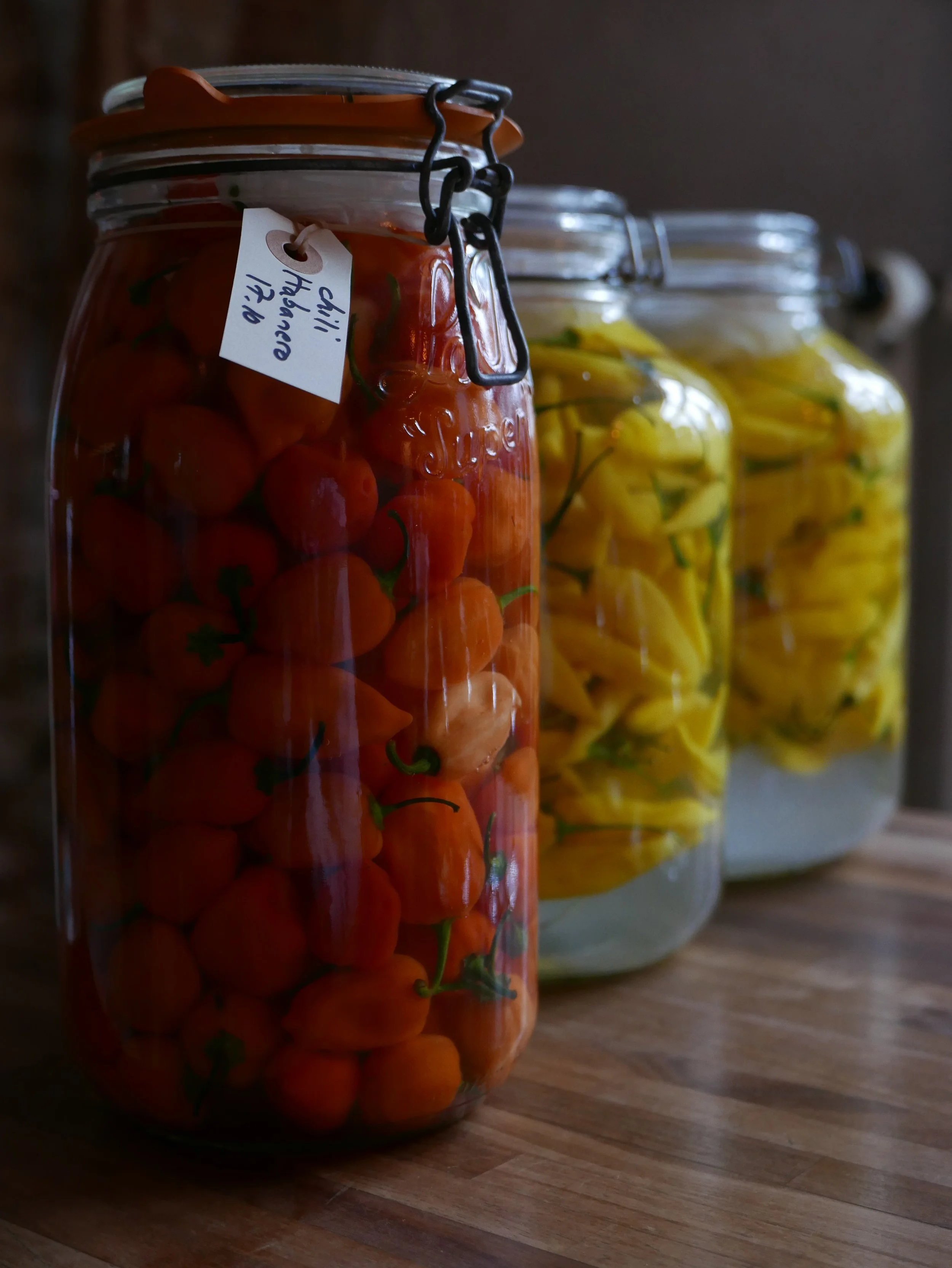 Menu — Den Vandrette