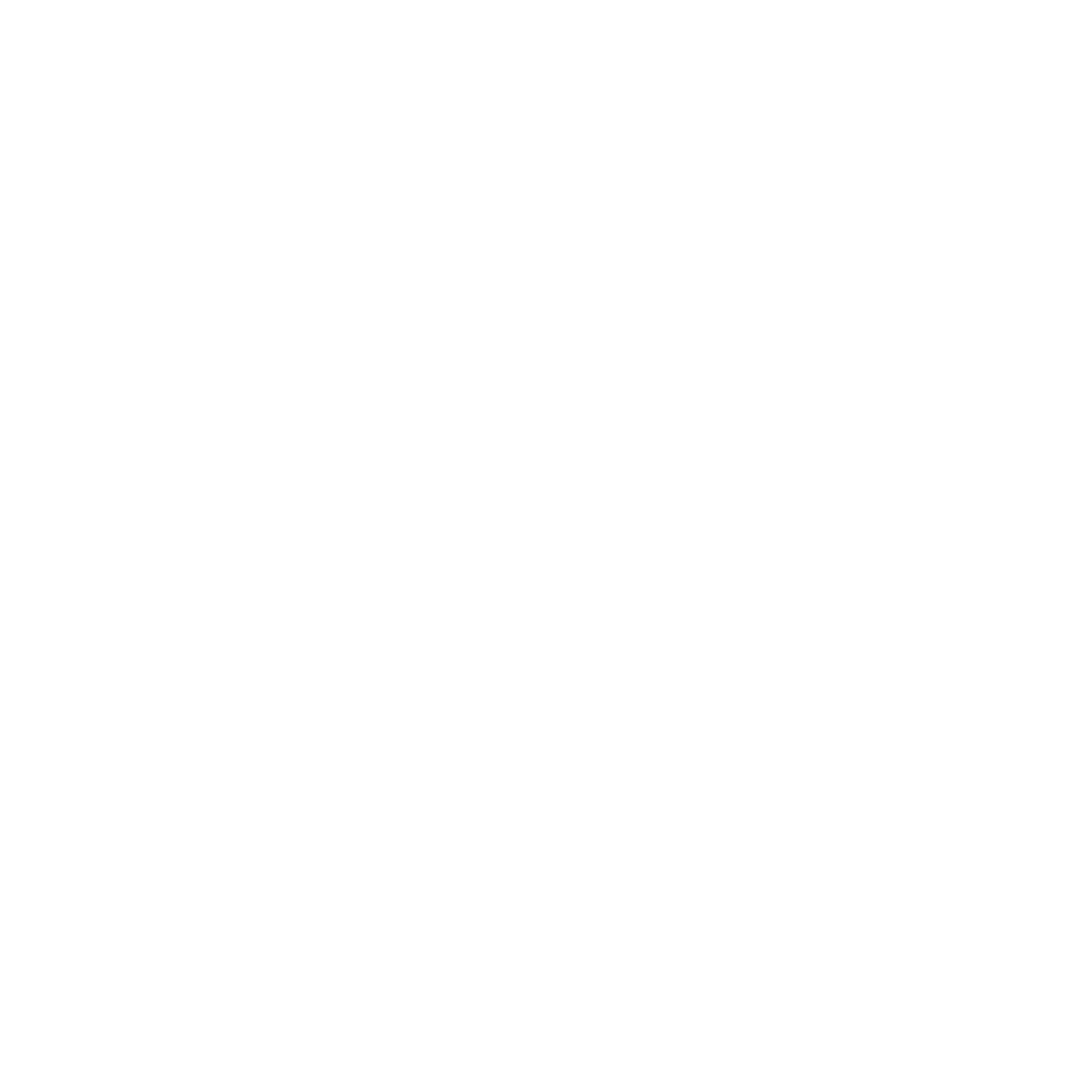 CTS LOGO 1 WHITE.png