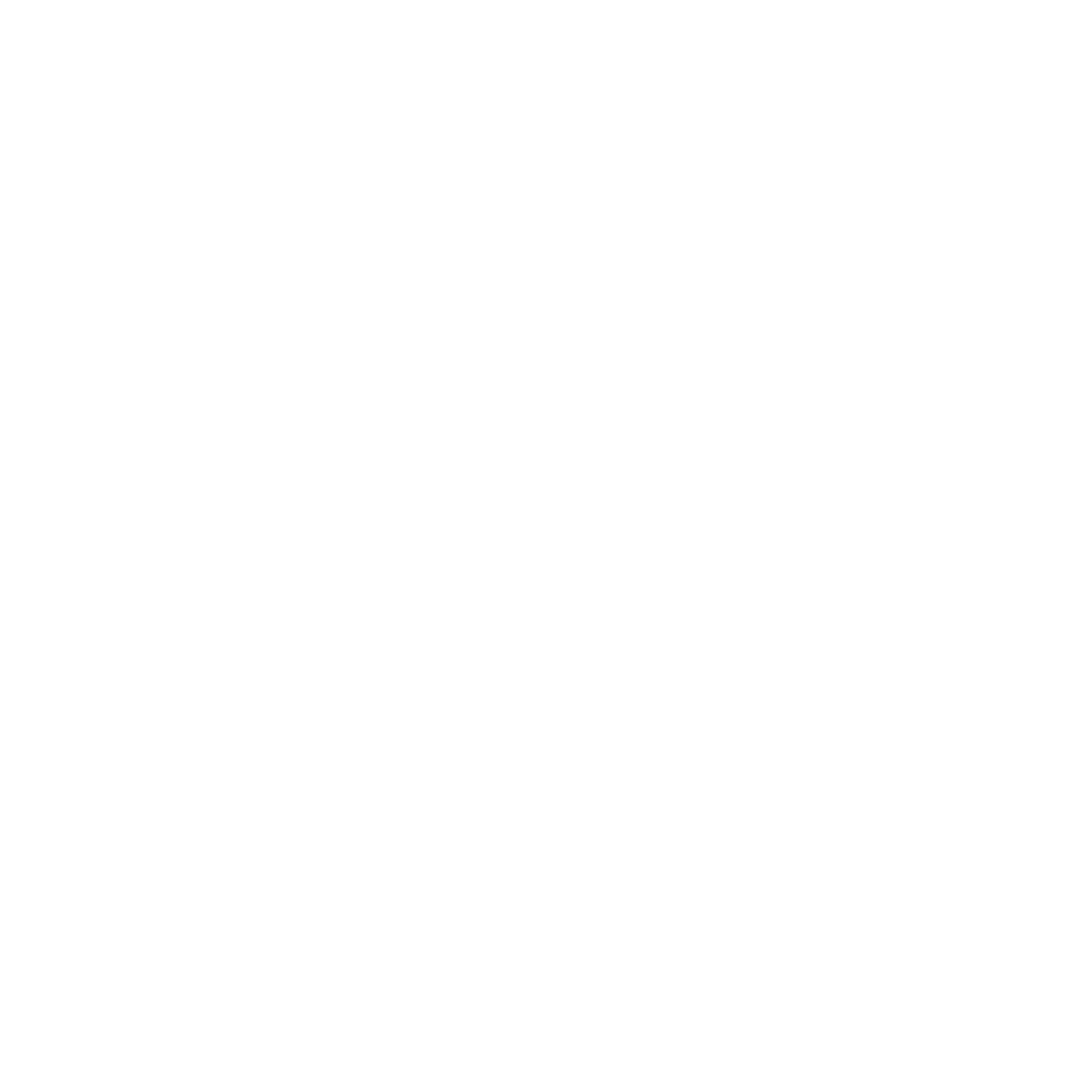 CTS LOGO 2 WHITE.png