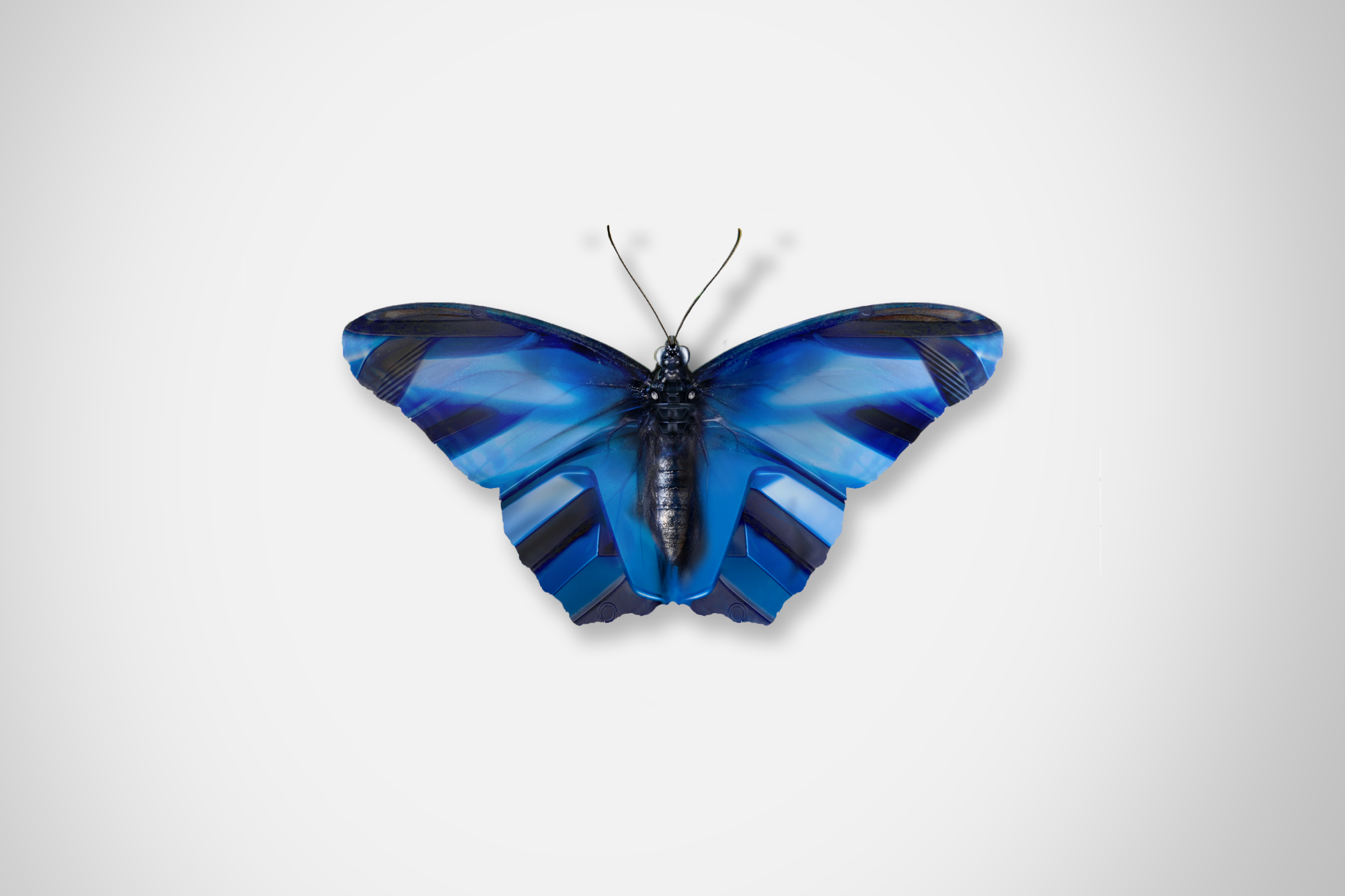 Ford_Butterflies_Concept_The_Beauty_Of_Change_DKLG_Design_002.png