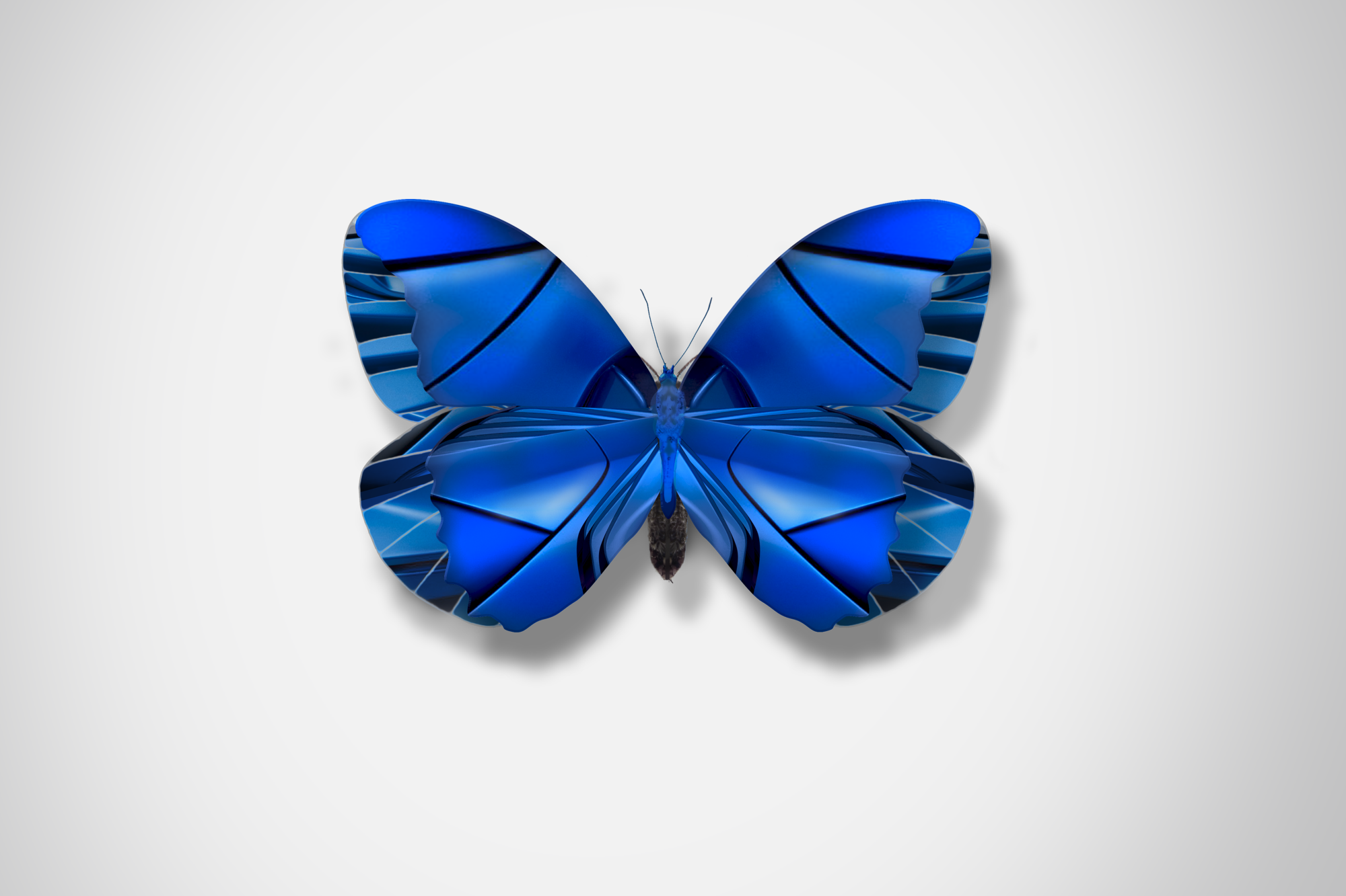 Ford_Butterflies_Concept_The_Beauty_Of_Change_DKLG_Design_004.png