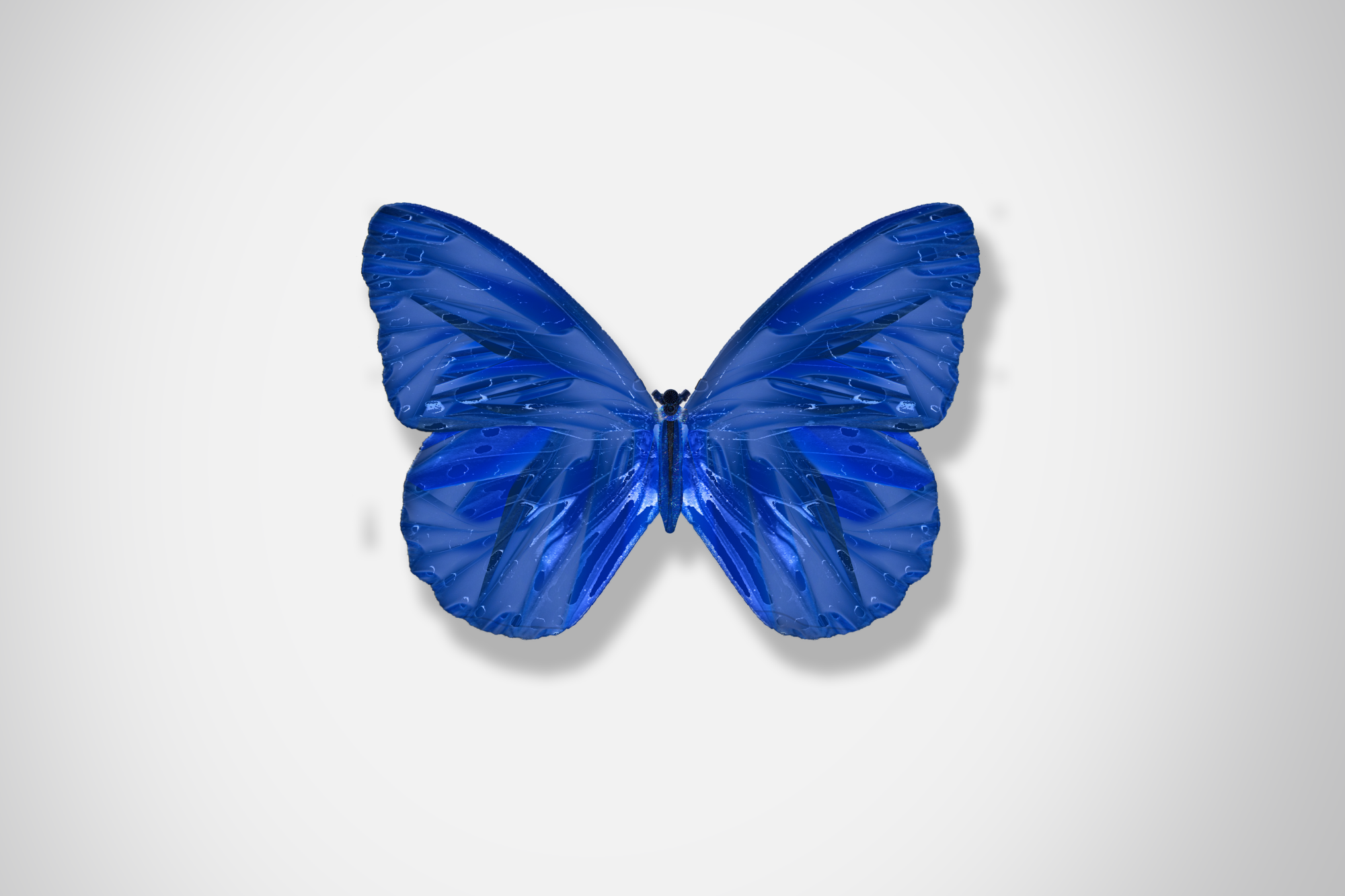Ford_Butterflies_Concept_The_Beauty_Of_Change_DKLG_Design_005.png