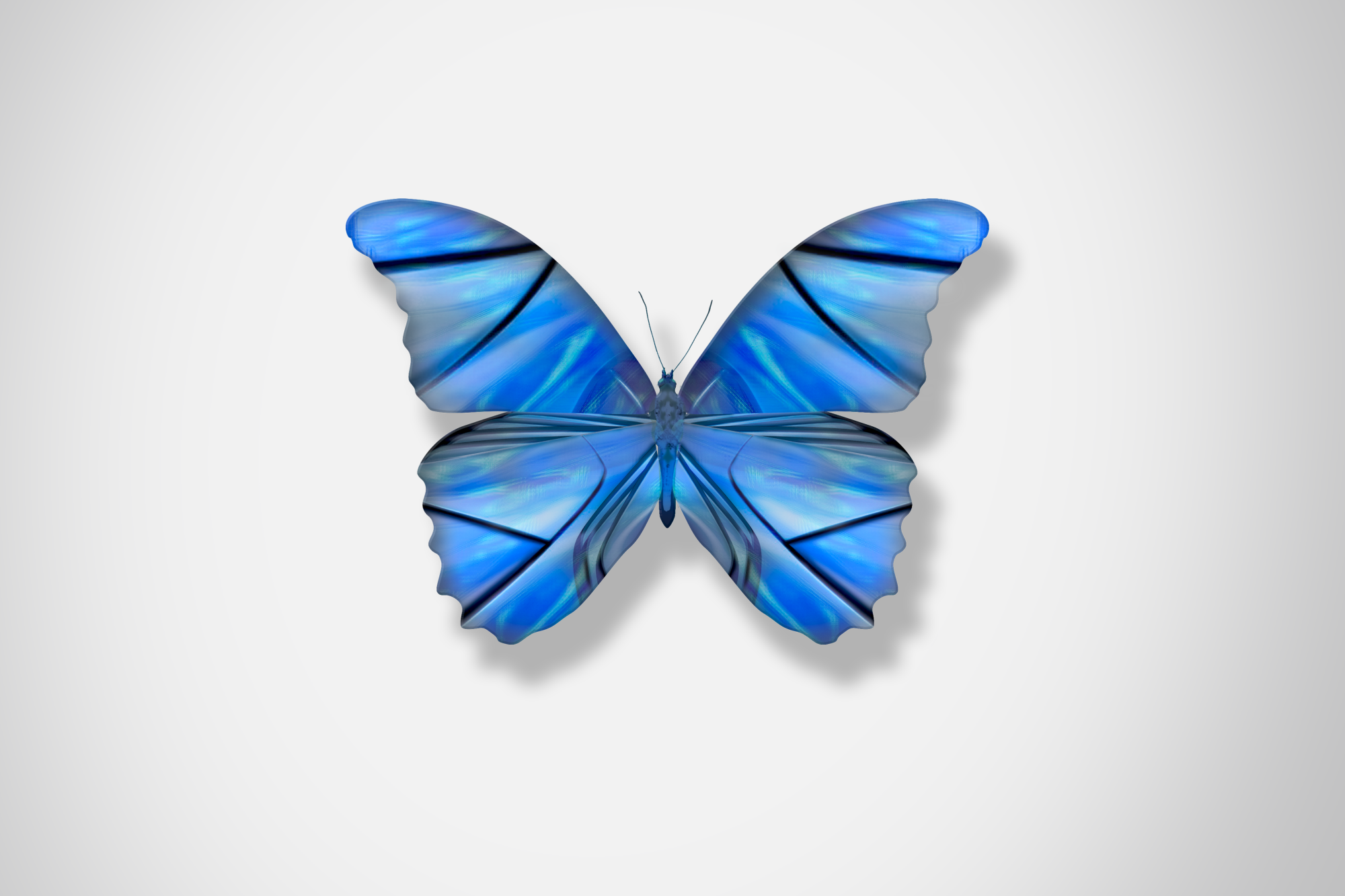 Ford_Butterflies_Concept_The_Beauty_Of_Change_DKLG_Design_008.png