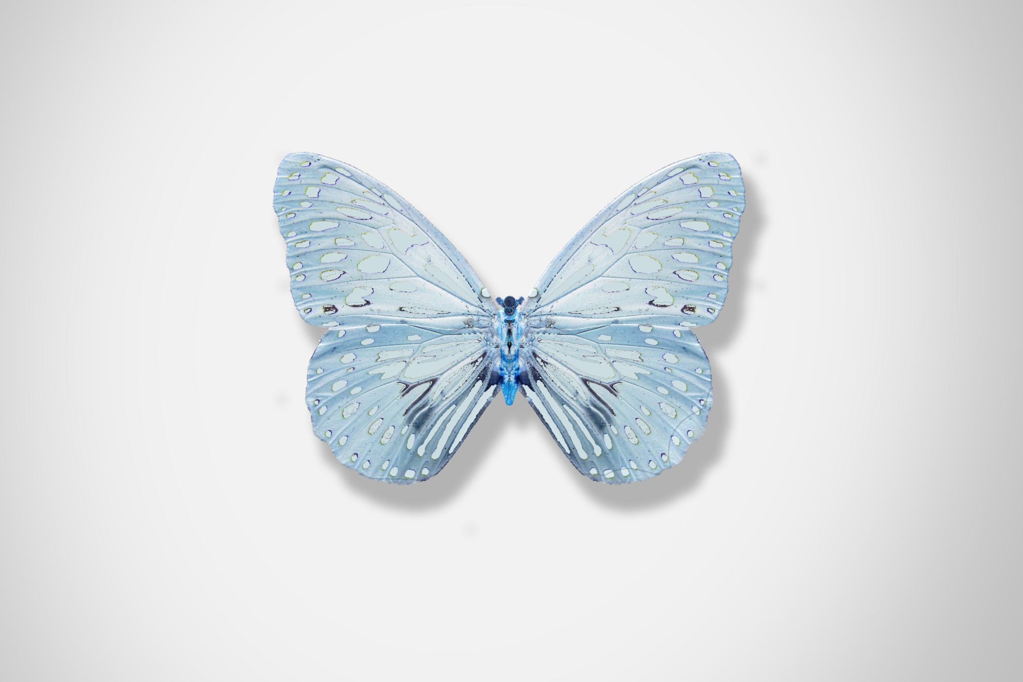 Ford_Butterflies_Concept_The_Beauty_Of_Change_DKLG_Design_009.png