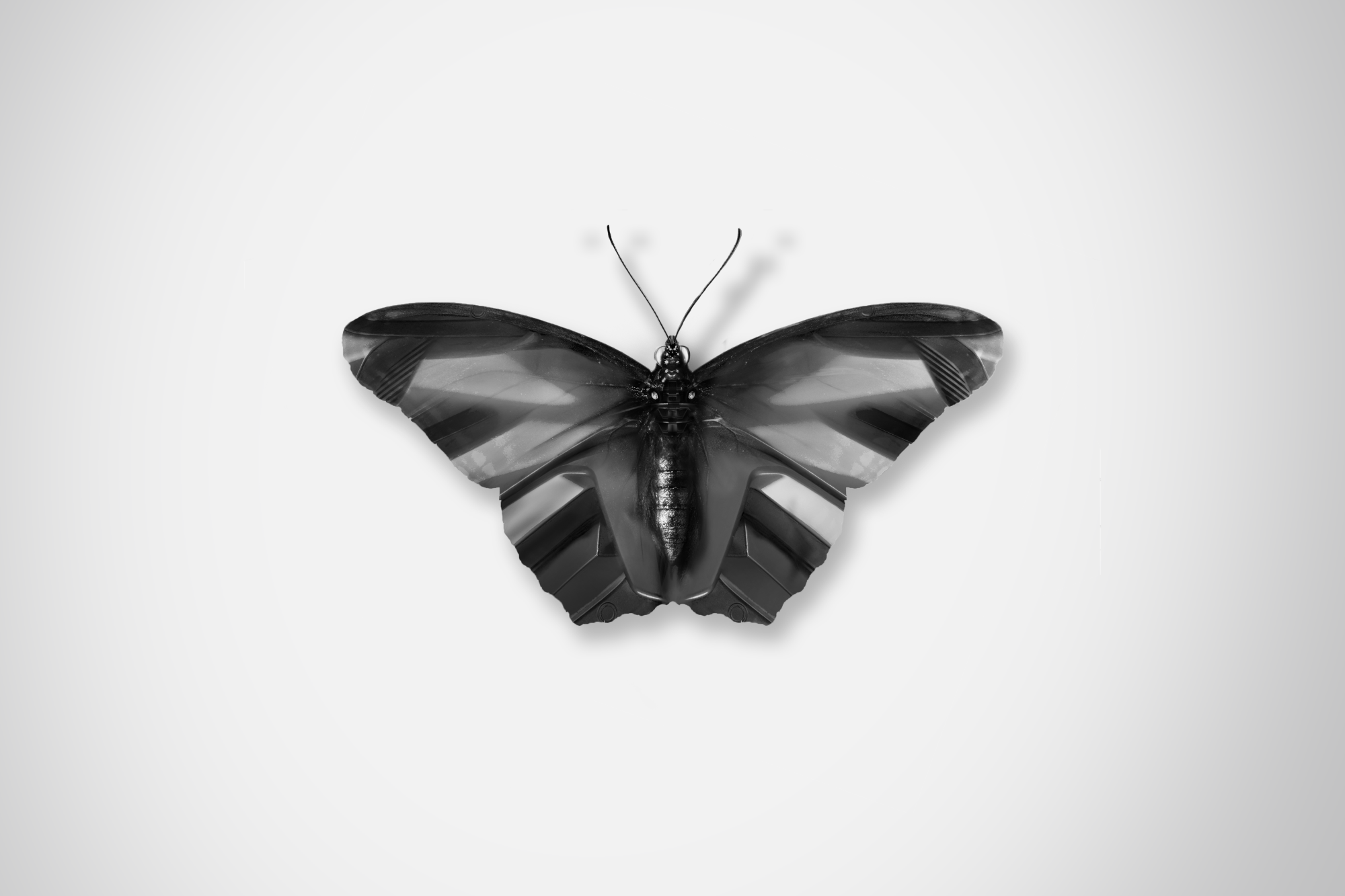 Ford_Butterflies_Concept_The_Beauty_Of_Change_DKLG_Design_010.png