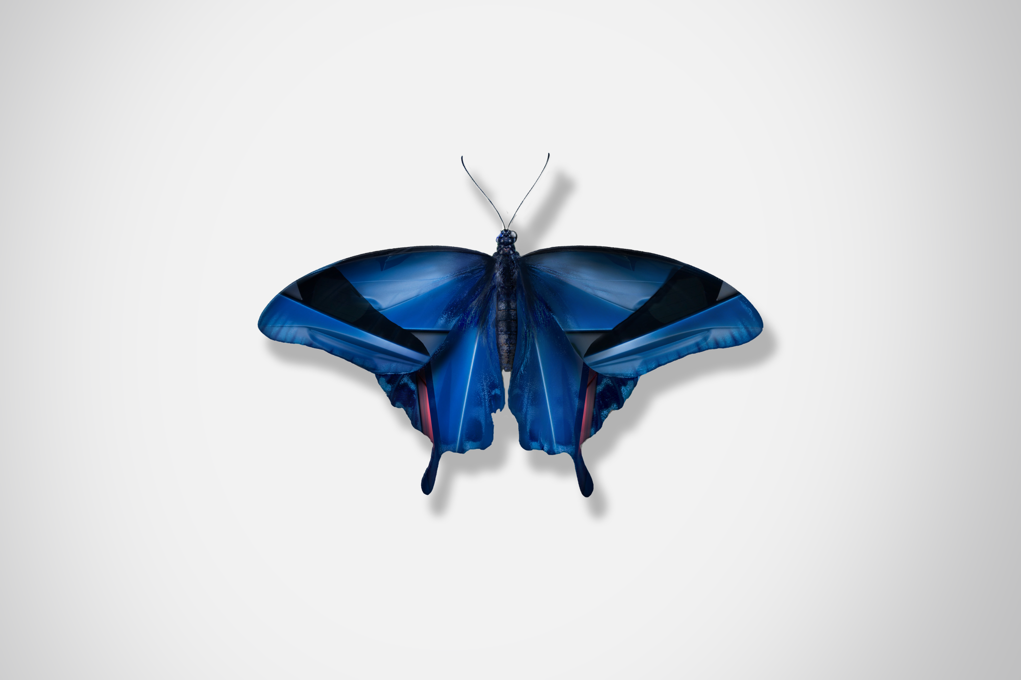 Ford_Butterflies_Concept_The_Beauty_Of_Change_DKLG_Design_011.png