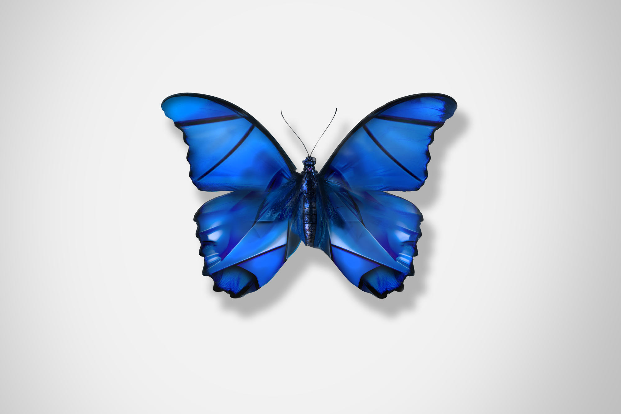 Ford_Butterflies_Concept_The_Beauty_Of_Change_DKLG_Design_012.png