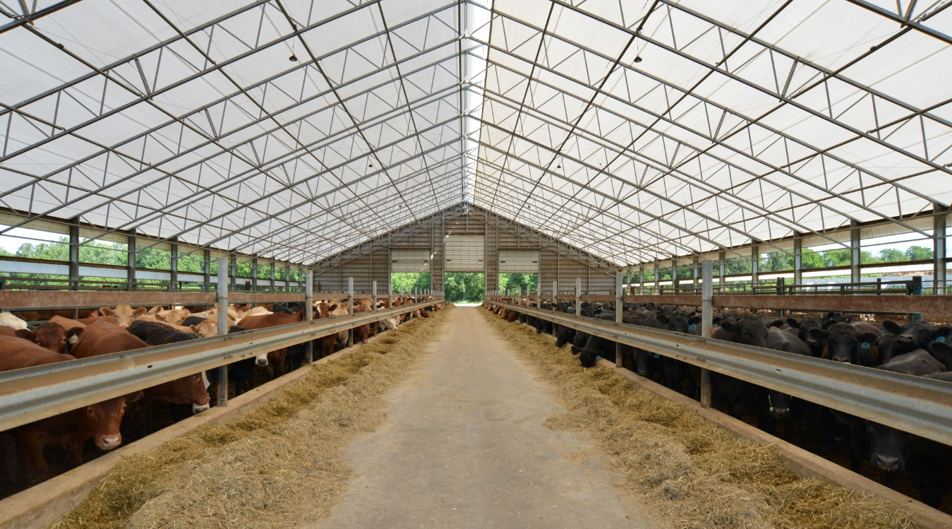 Fabric Roof Structure