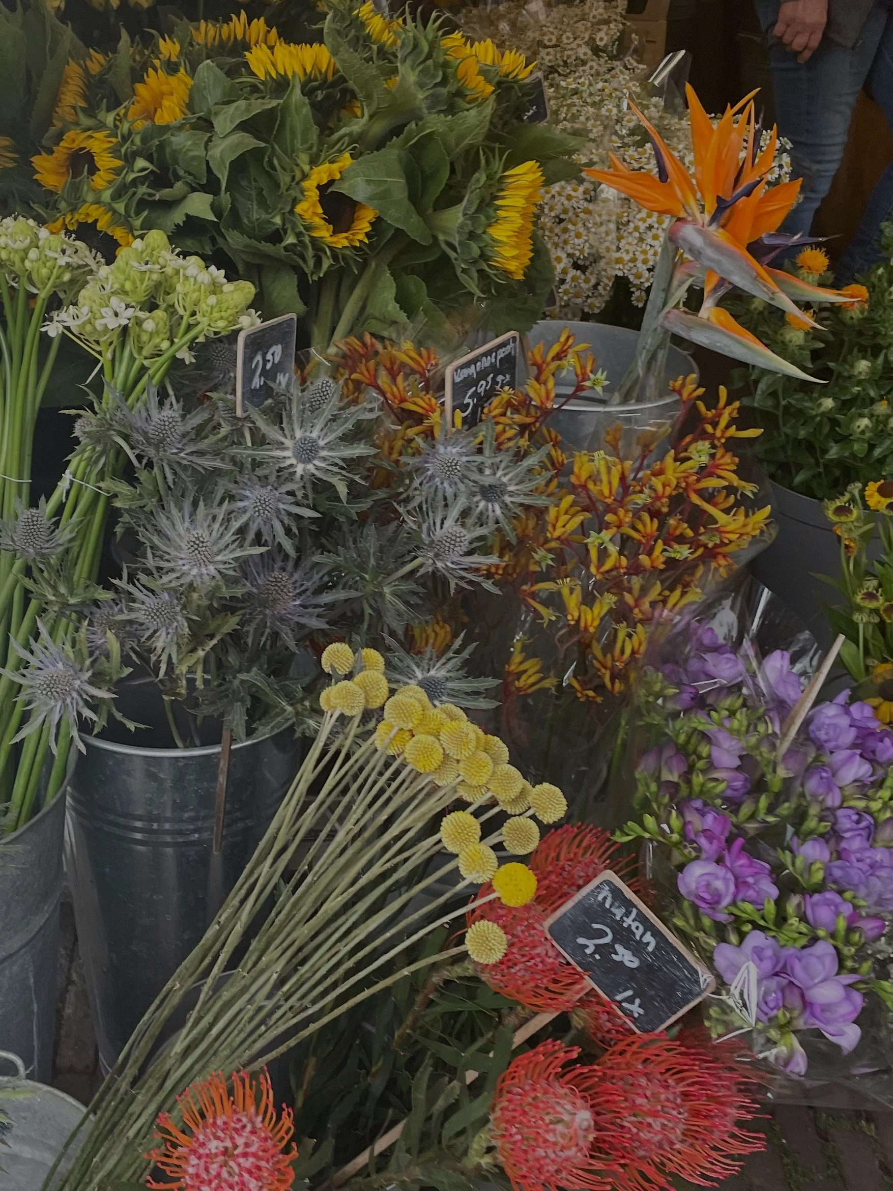 on validation and comparison