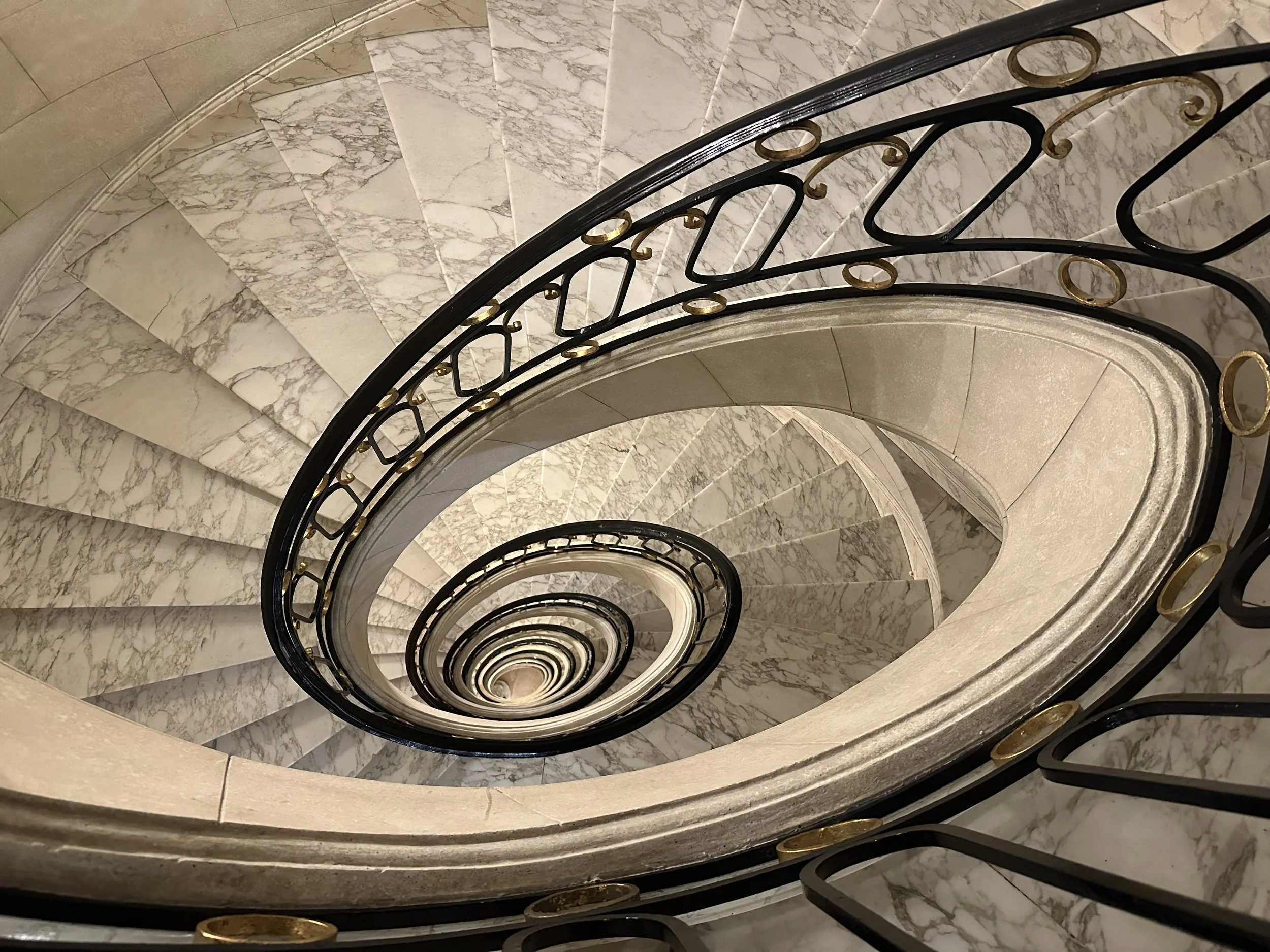 What Do You Want To Be When You Grow Up?