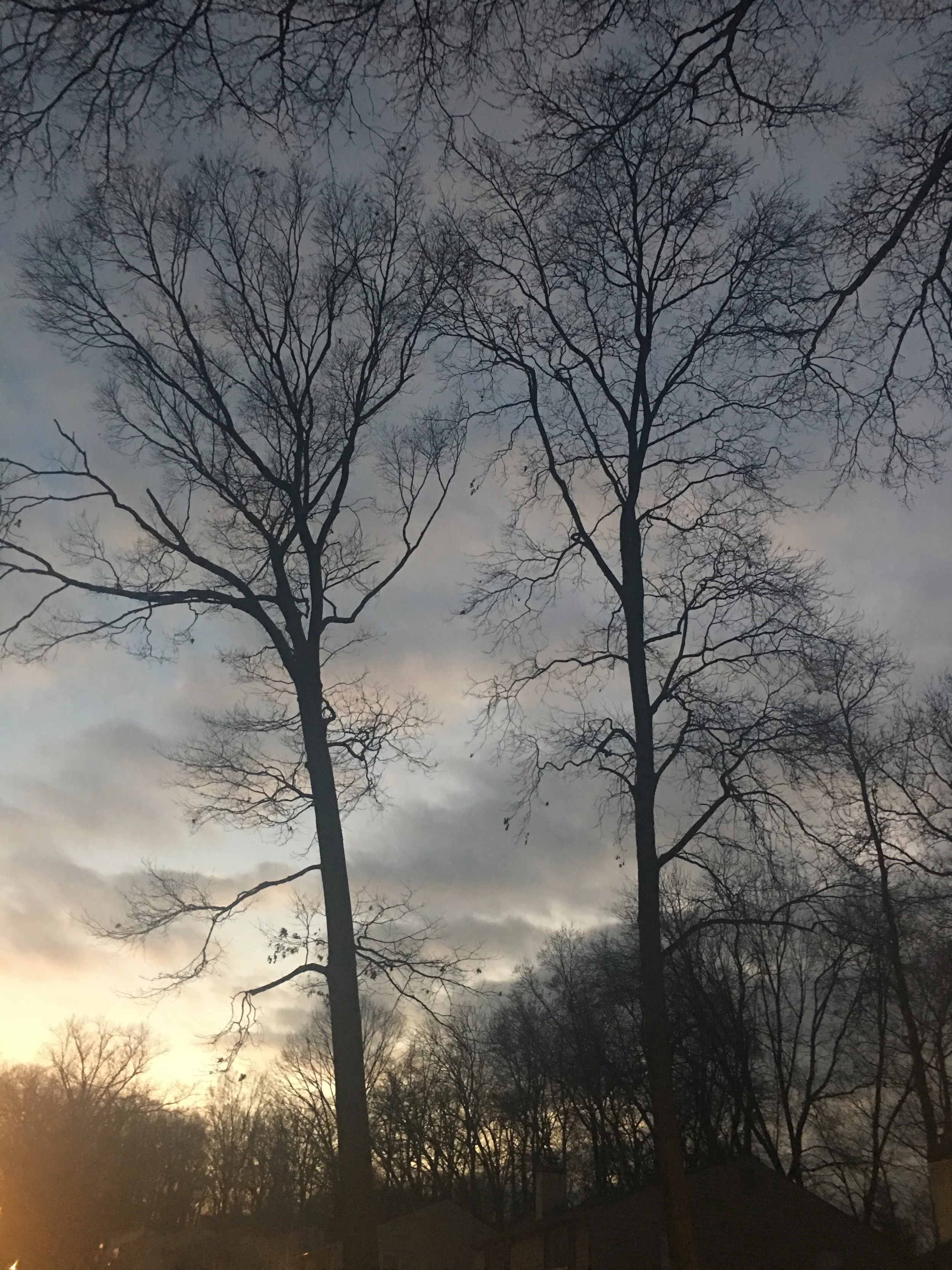 The change of seasons - preparing your body for autumn