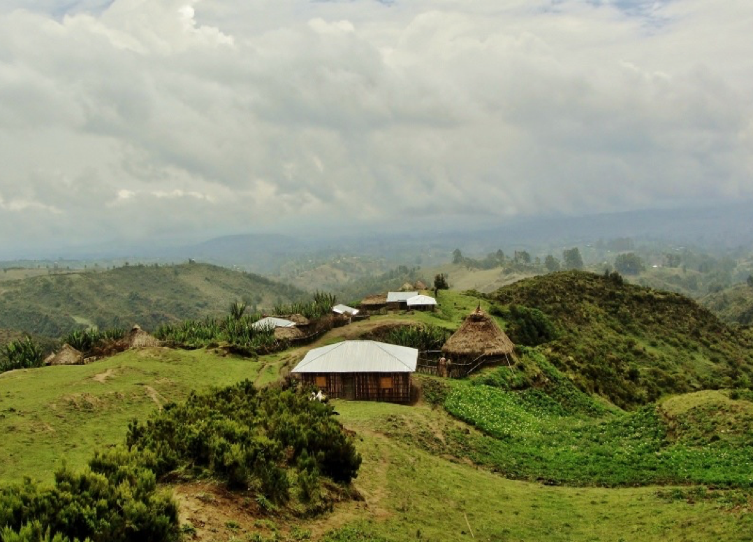 The Village of Wonchi