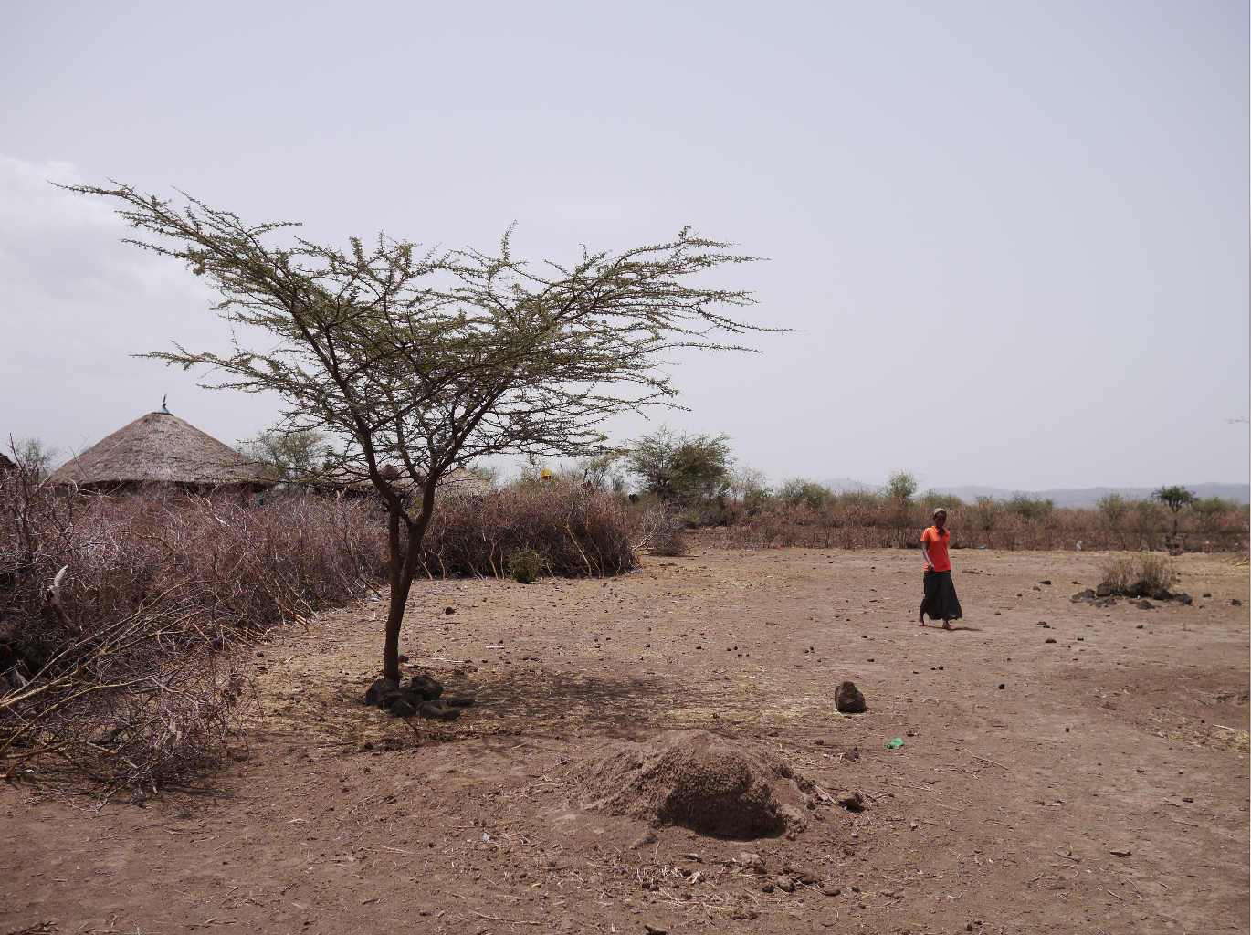 This village is 7km from water, the children have no access to school, and no one is literate in any language or speaks any English. Yet in Ethiopia, all schooling is in English after grade 4.
