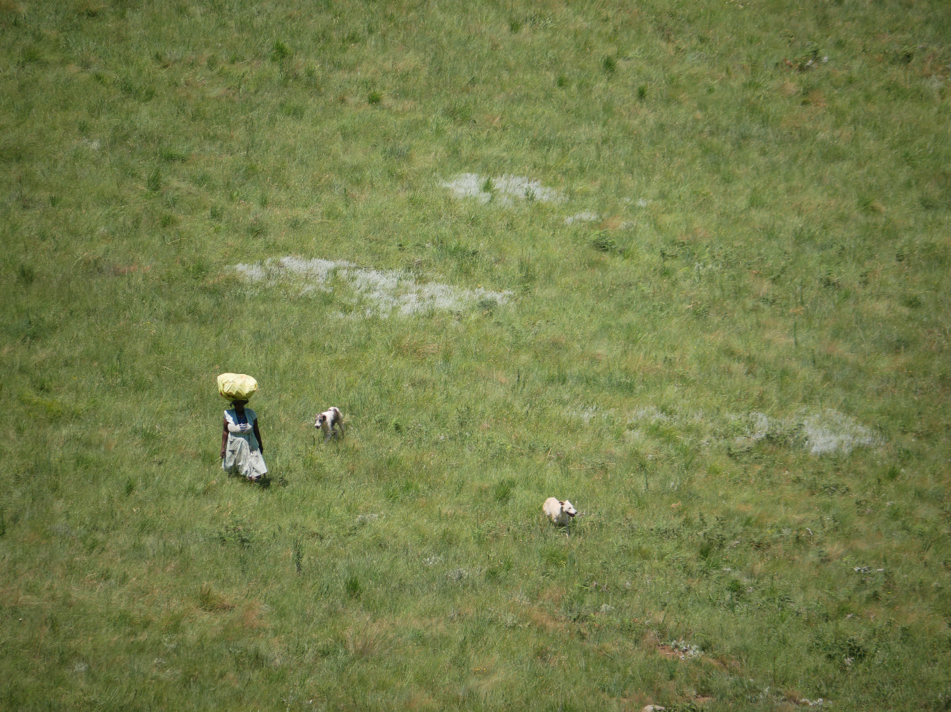 image16.png