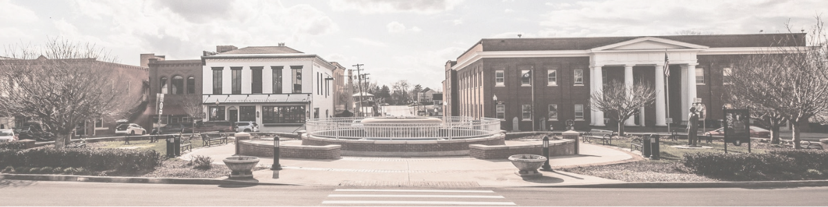 Website Banner (2).png