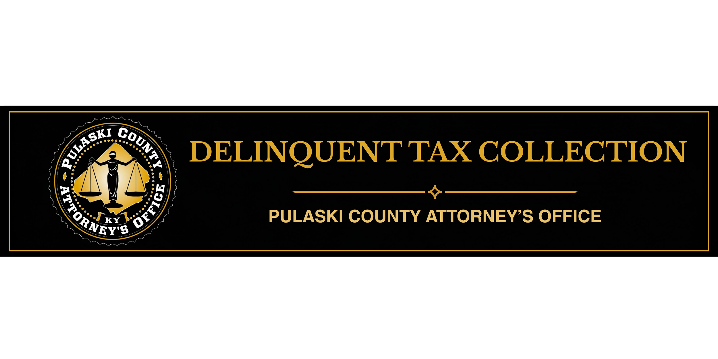 Delinquent Tax Collection.png