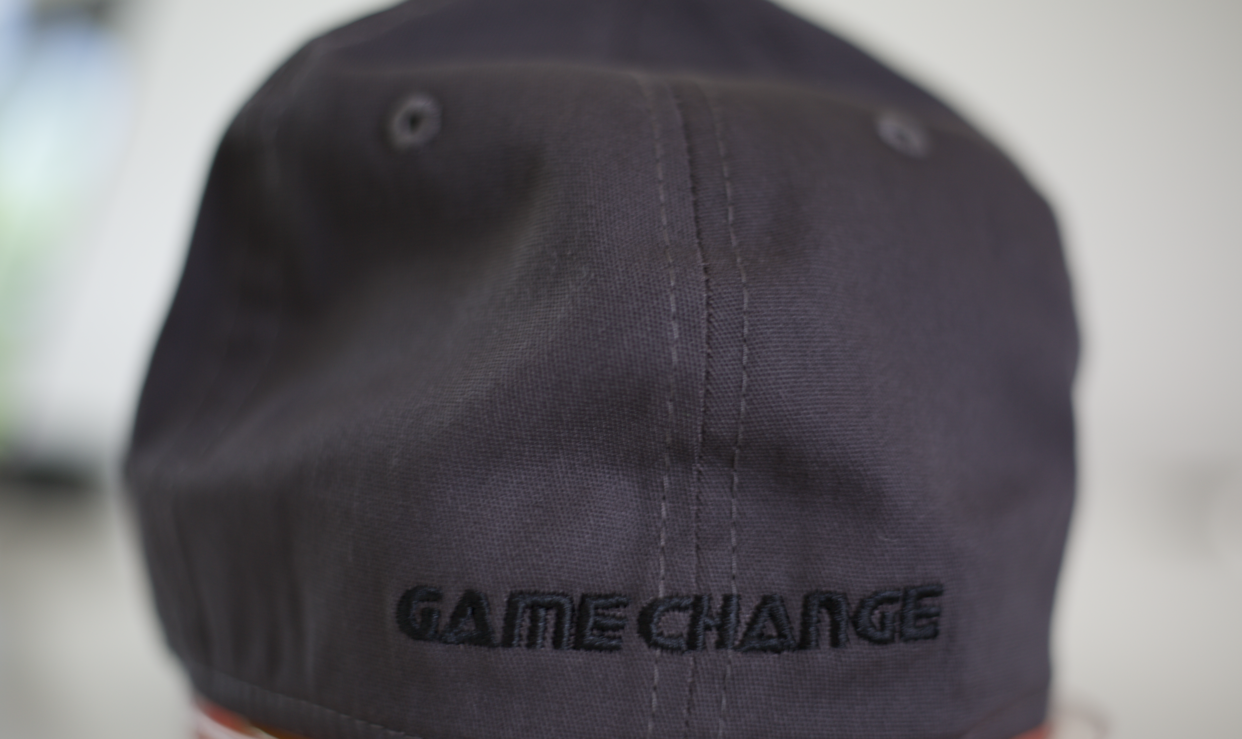 Hat Back.png