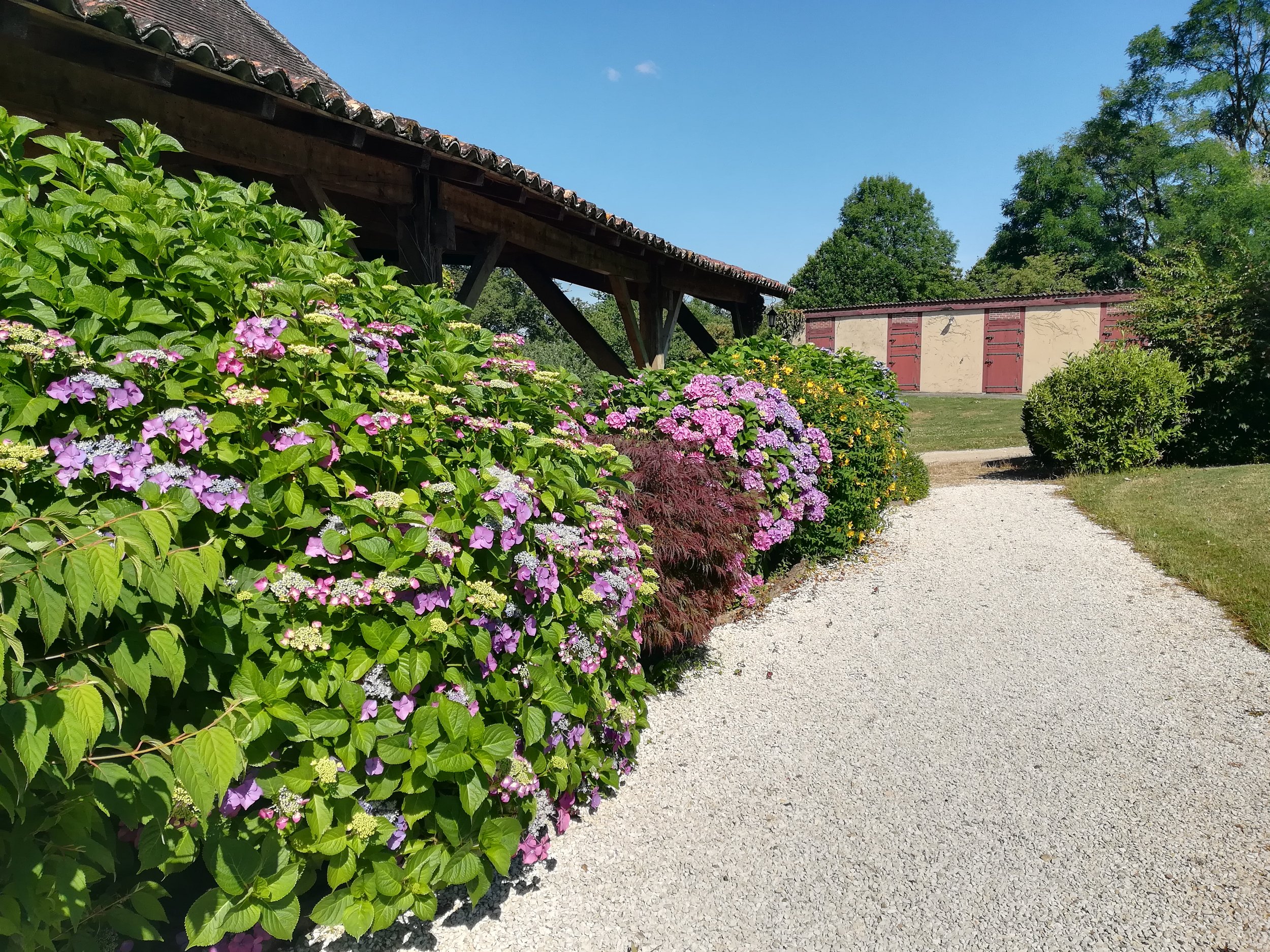 Garden border, credit Clio Wood.jpg