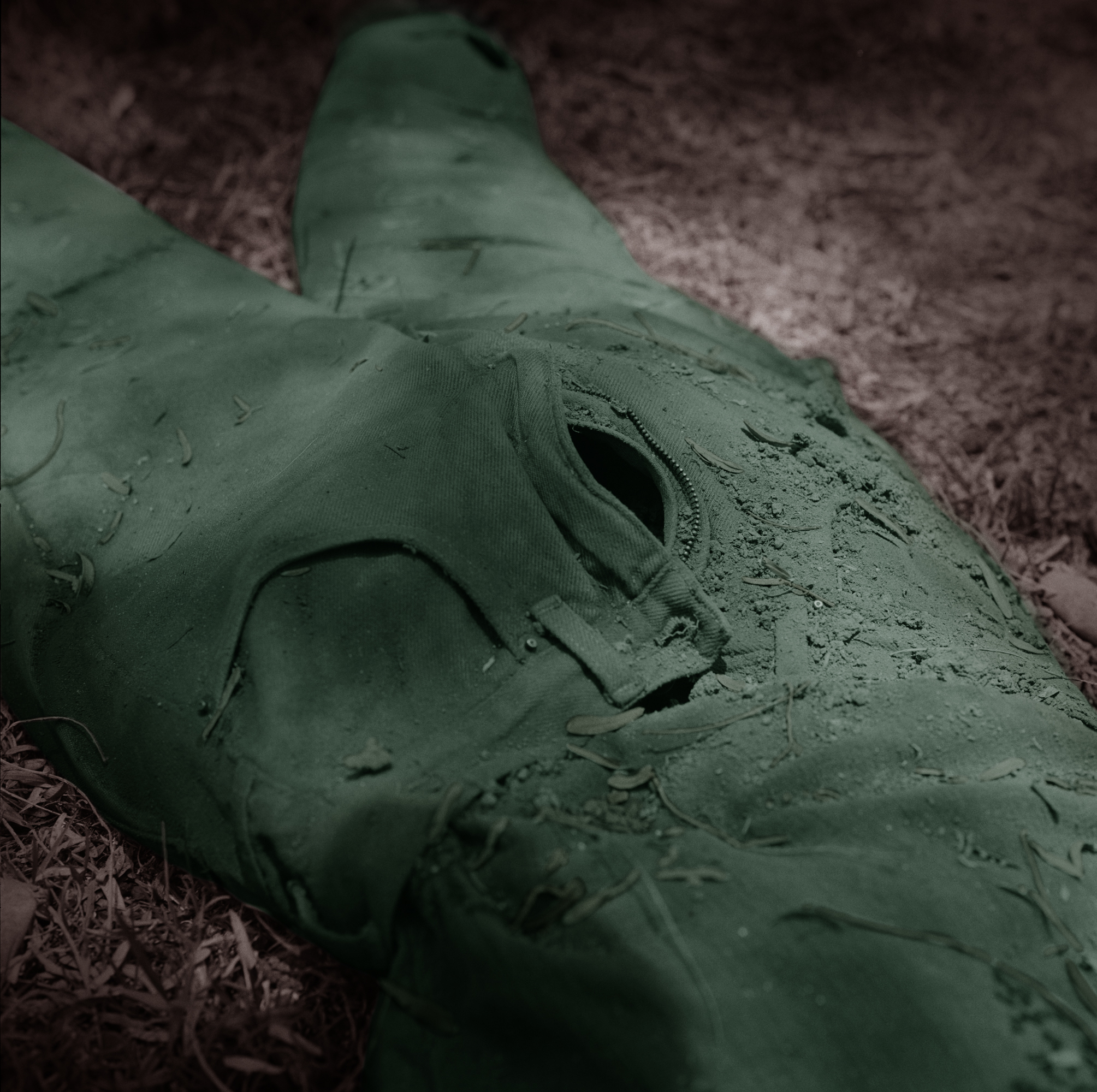 Untitled (The Disappeared) , Matte Chromogenic green and brown color print mounted on aluminum. Triptych, 56 x 165 in. (Detail)