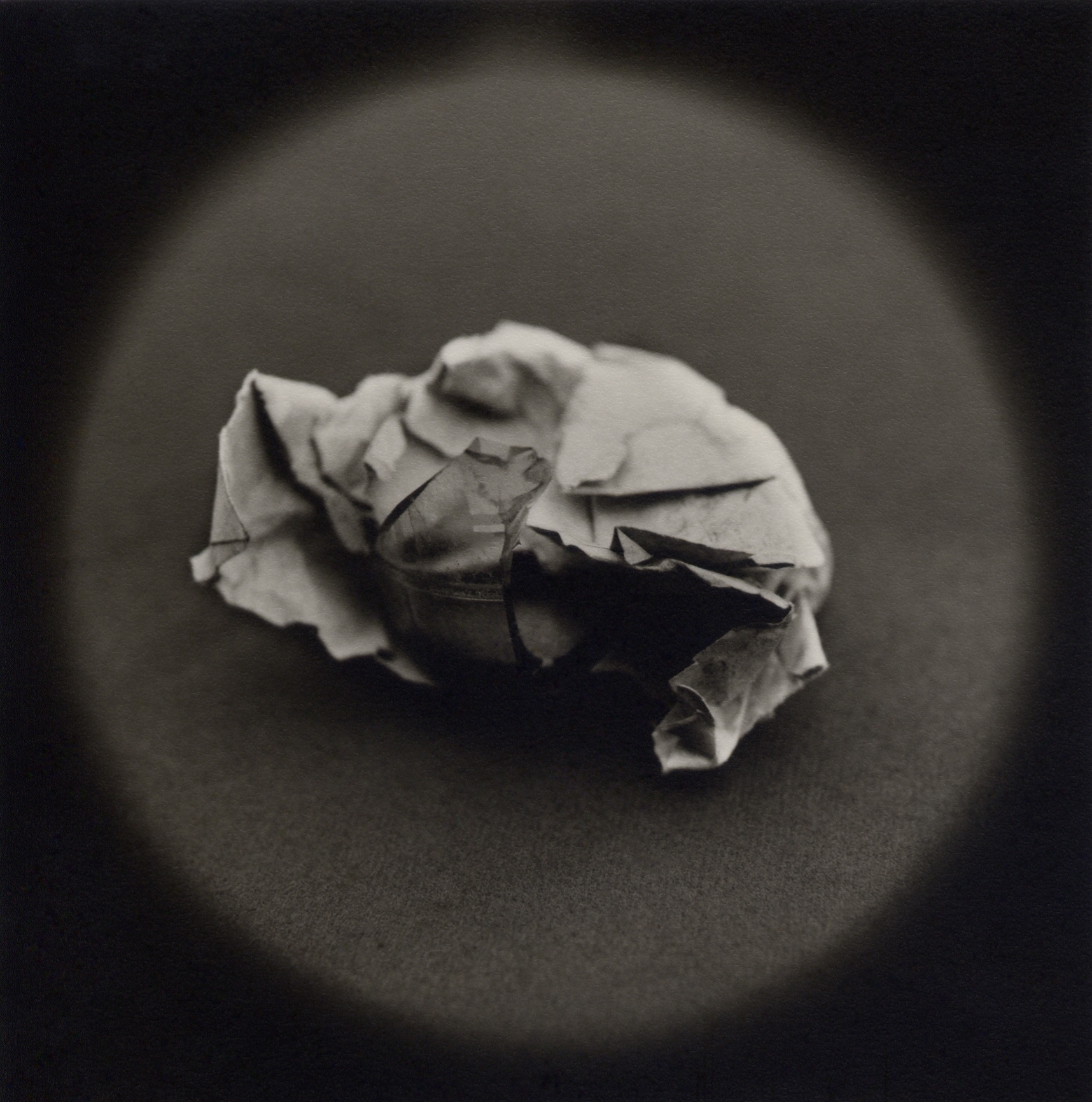   Rudimentary weapon made from broken bottle and paper   Toned gelatin silver print.   16 x 16 in. (40 x 40 cm.) 
