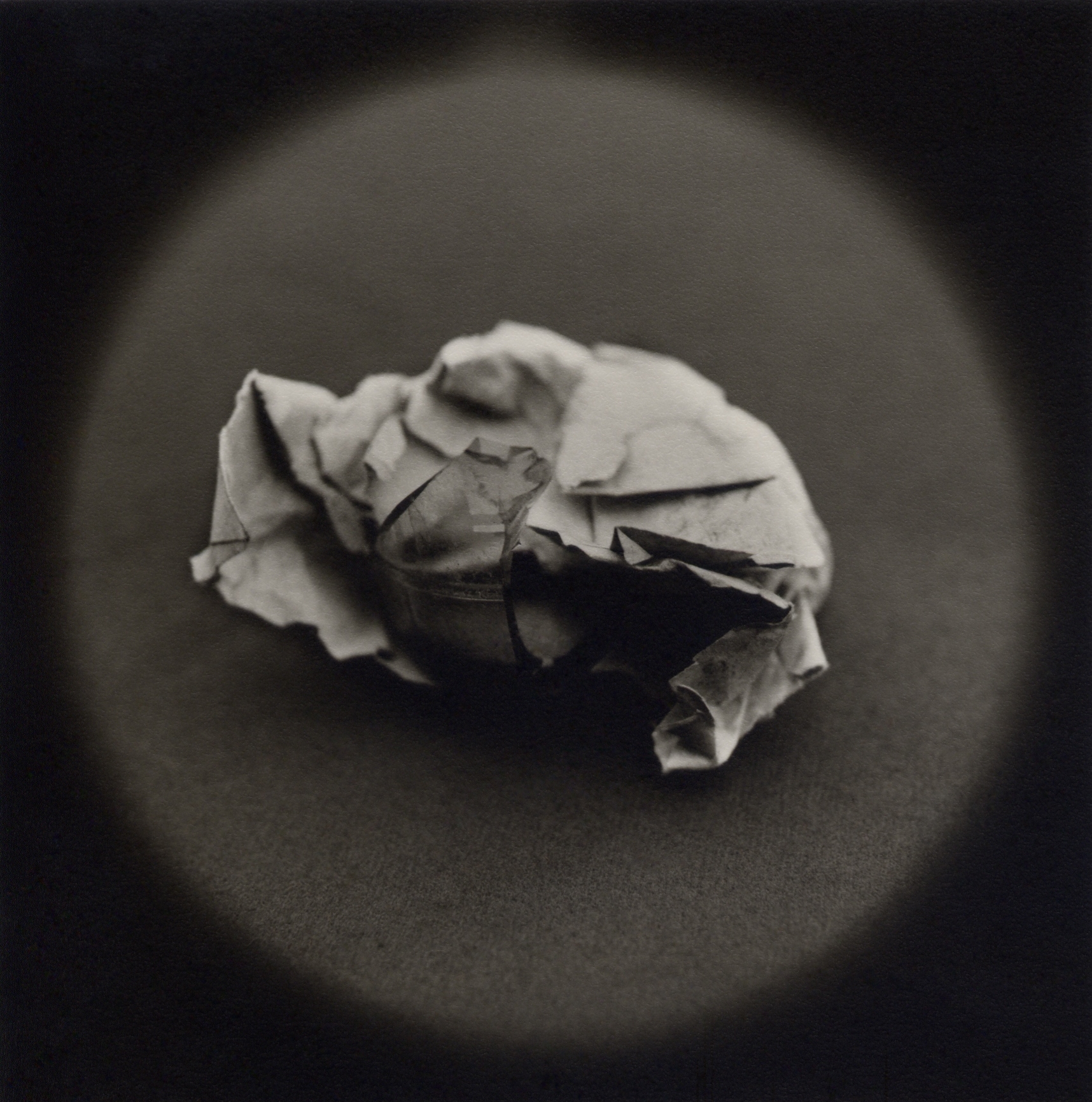 The Lost Steps (Rudimentary weapon made from broken bottle and paper) Toned gelatin silver print. 16 x 16 in. 
