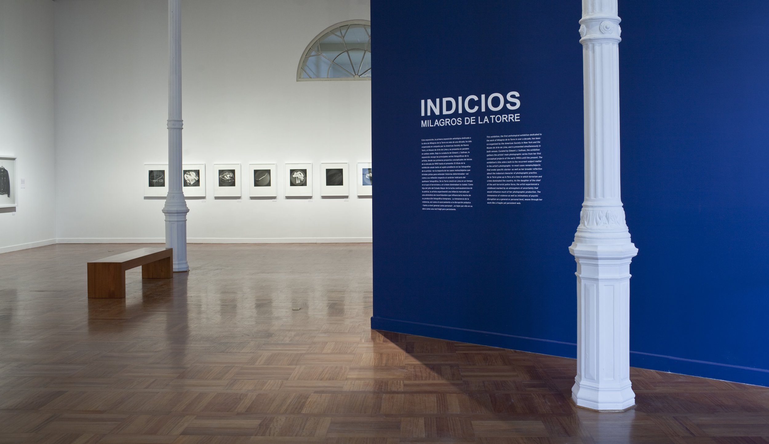   INDICIOS, 2012   Curator: Edward J. Sullivan  Museo de Arte de Lima, MALI.  
