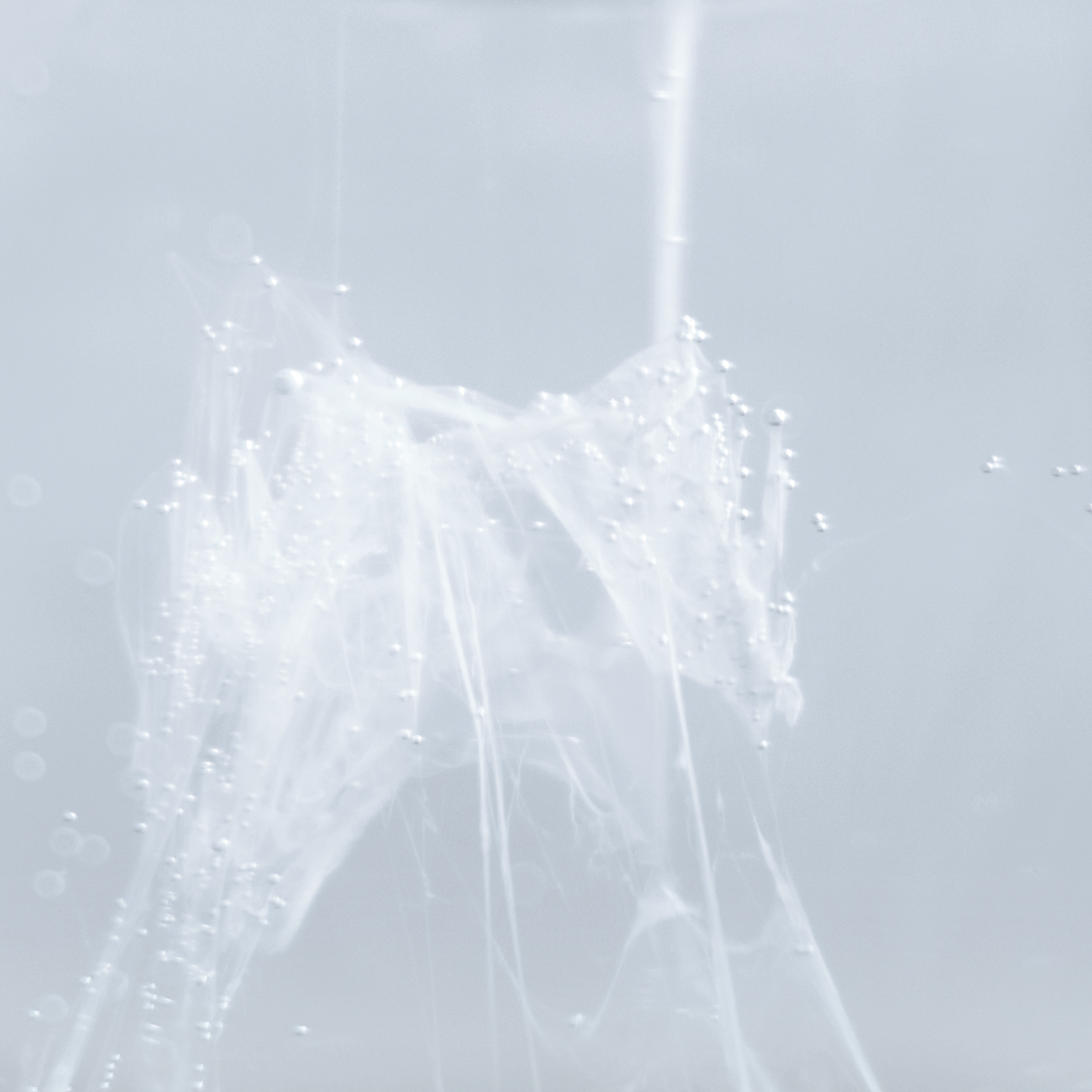 Diary I (after Rorschach) Archival pigment print, mounted on one-inch thick plexi-glass 16 x 16 in. (40 x 40 cm)