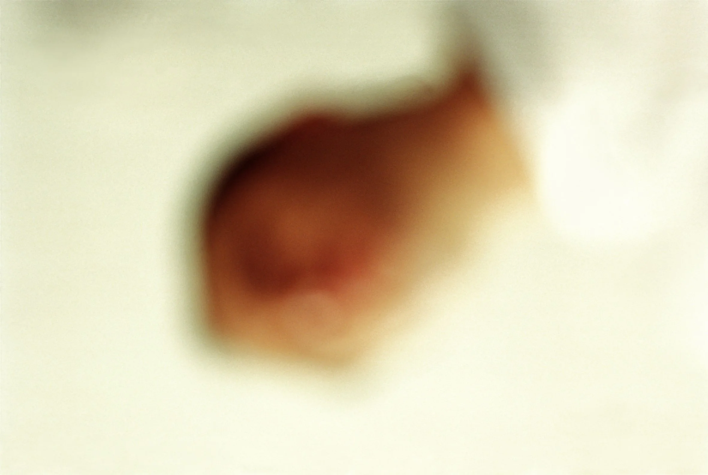 Vision of the father, 2001 Archival pigment print on cotton paper 13 x 21.7 in. on 19.7 x 27.6 in. paper (33 x 55 cm. on 50 x 70 cm.)