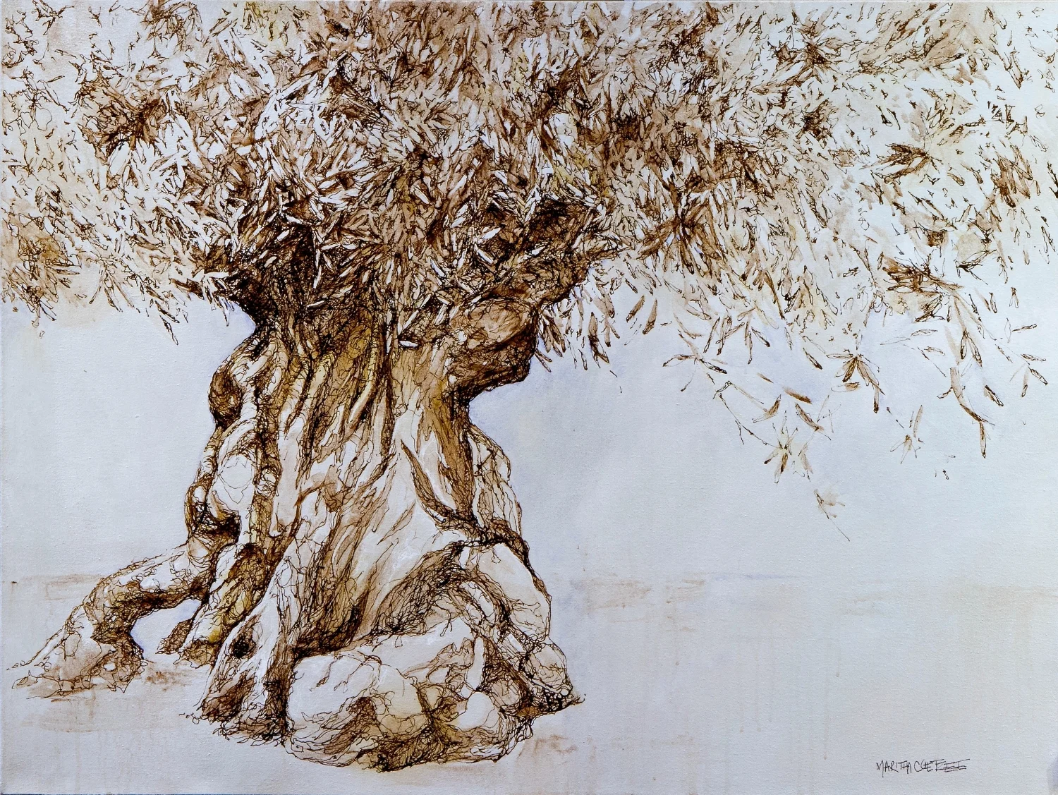 Giant Olive