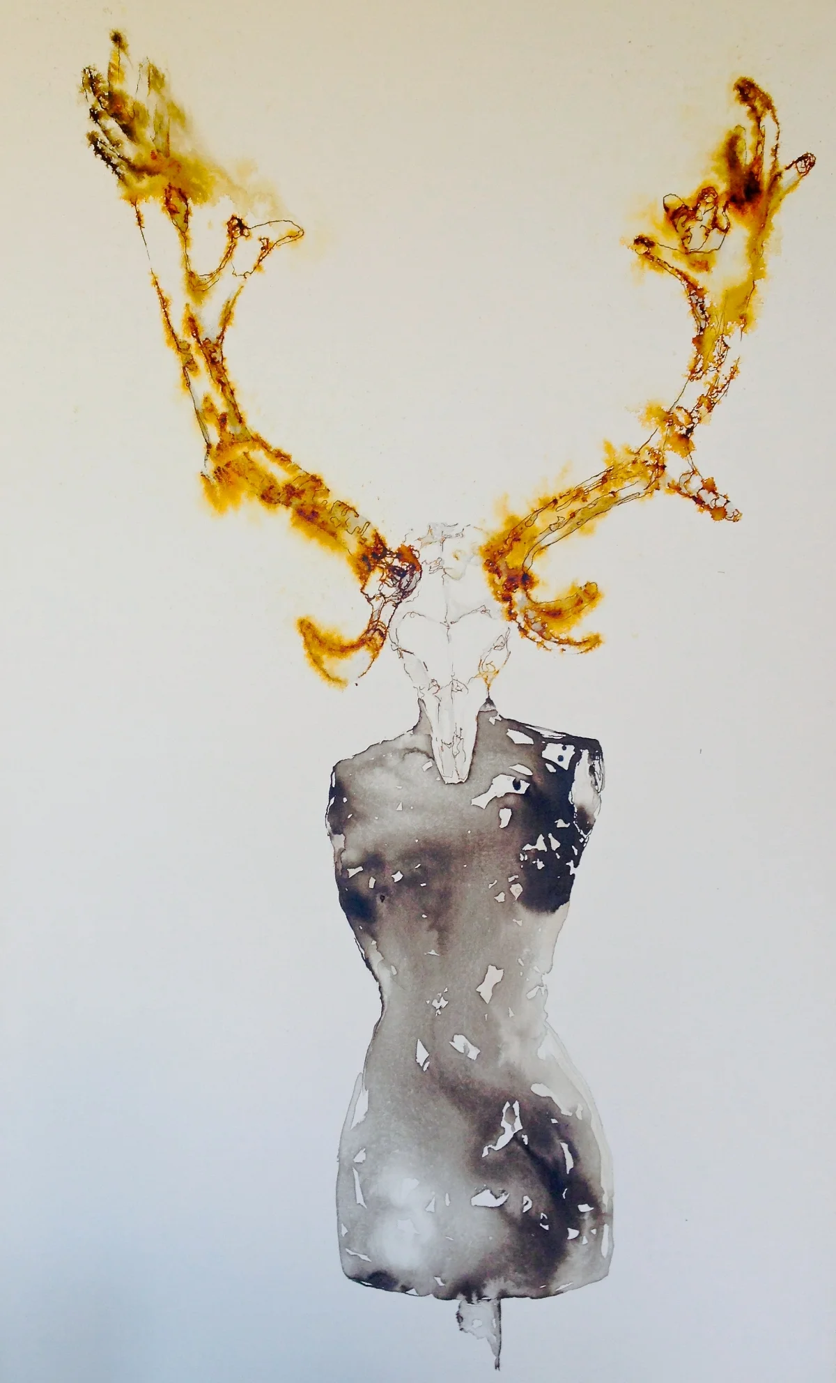 misdirect II