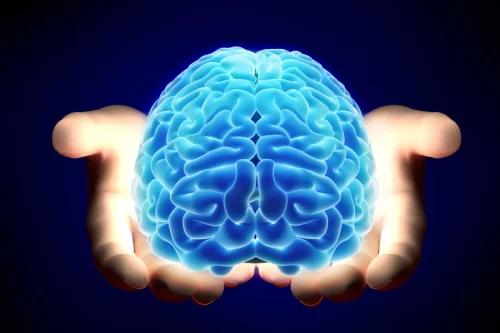 brain-article.jpg
