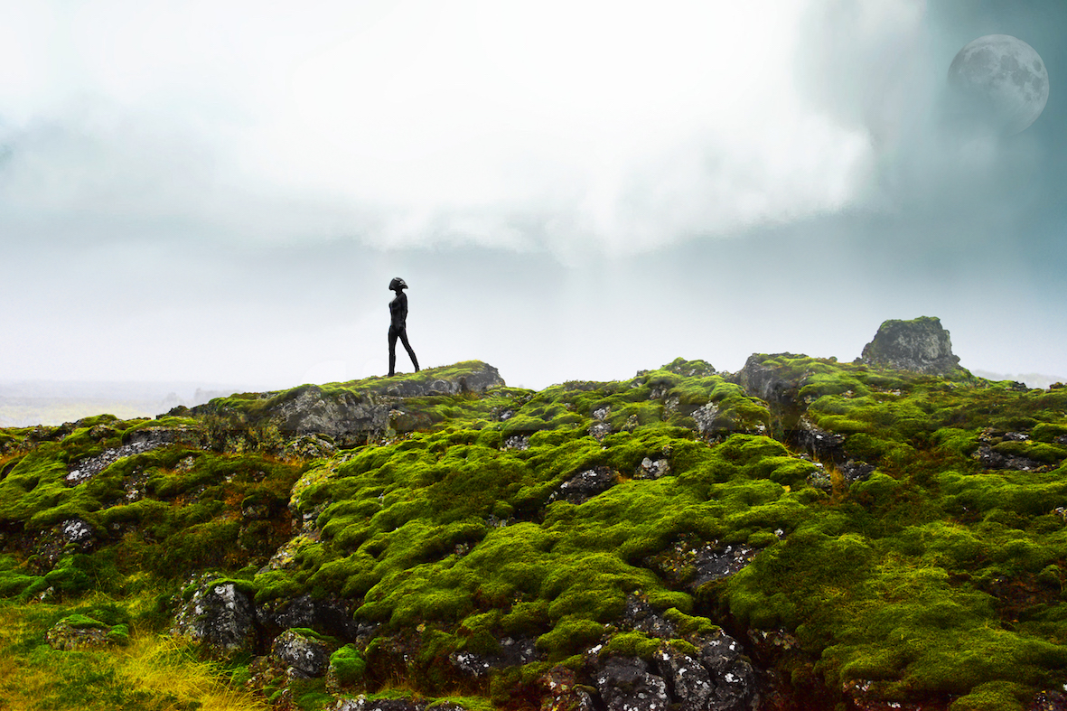 Rocks_2b_MDP_S2 web.jpeg