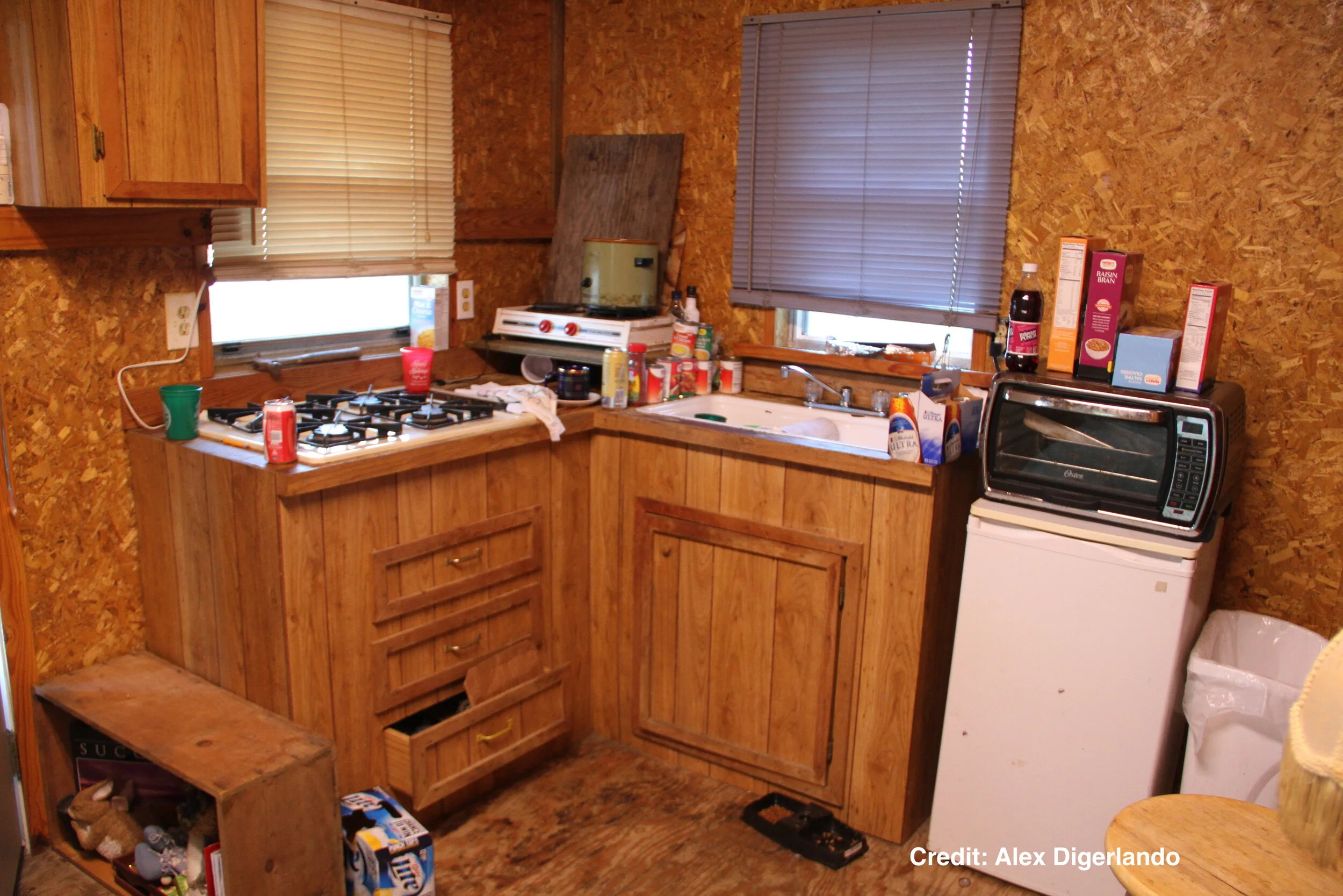 Doumains Domain_IMG_1347.JPG