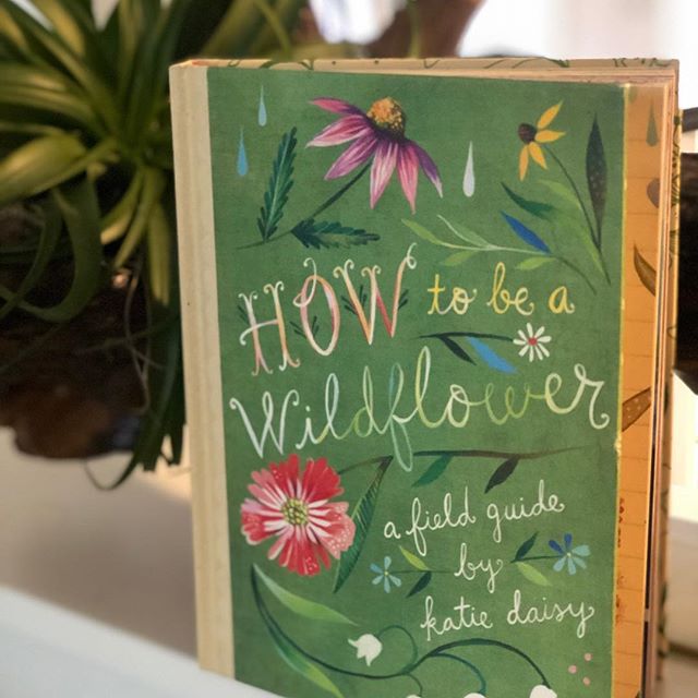 Rainy days are good for inspiration with a field guide by self-proclaimed wildflower, @katiedaisy_artist.  Pair it with #texaswildflowervodka over ice or with a splash of #topochico and coax on Spring. &bull; &bull;. #befree #drinkwildflower #drinkin