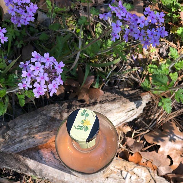 Our favorite Texas Wildflower amongst the spring blooms!  Share yours 🌺🌸🌼 #craftcocktails #drinklocal #drinkinthemoment #befree #wildflowers #shoplocal