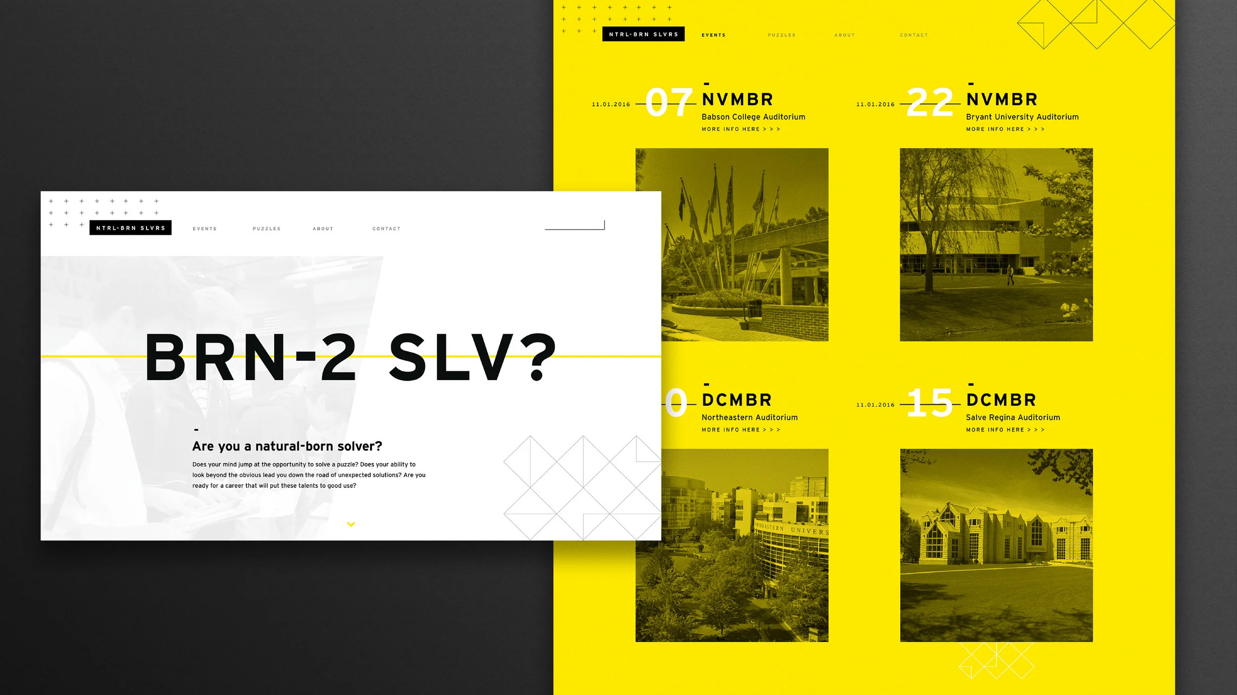 EY_N-BS_Portfolio_Website8.jpg
