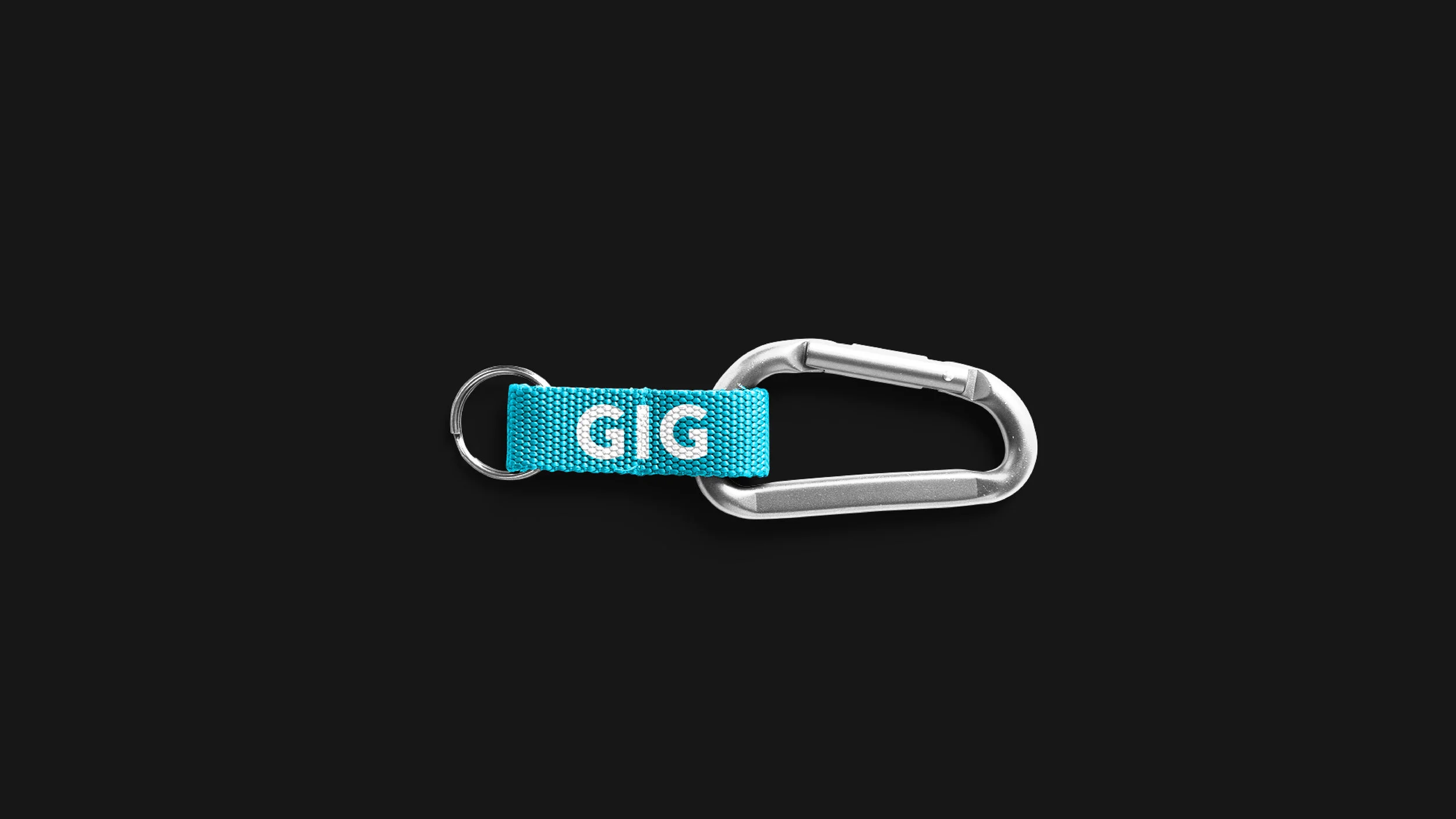 GIG_311.jpg