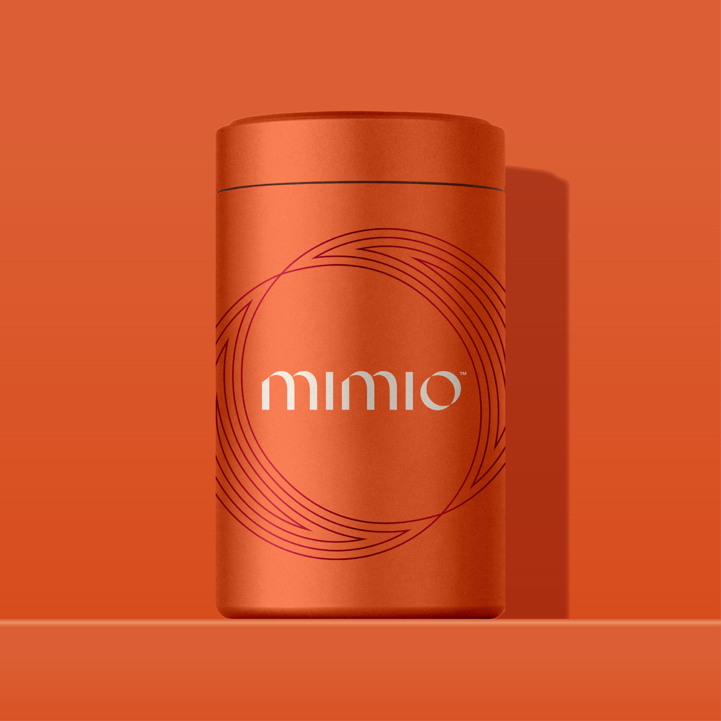Mimio_CaseStudy_Layout_V3-09.jpg