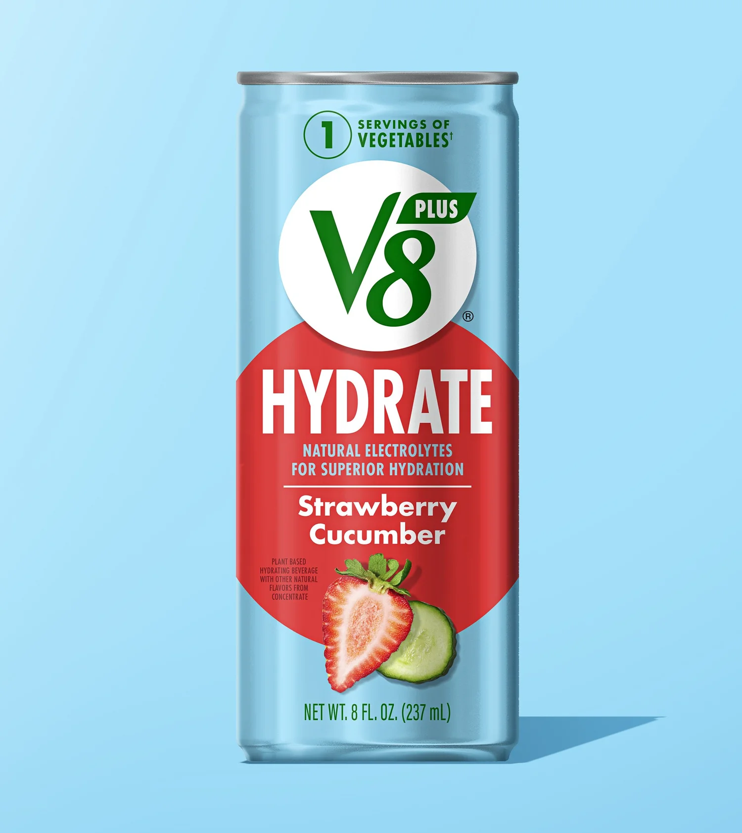 V8 — project image 20