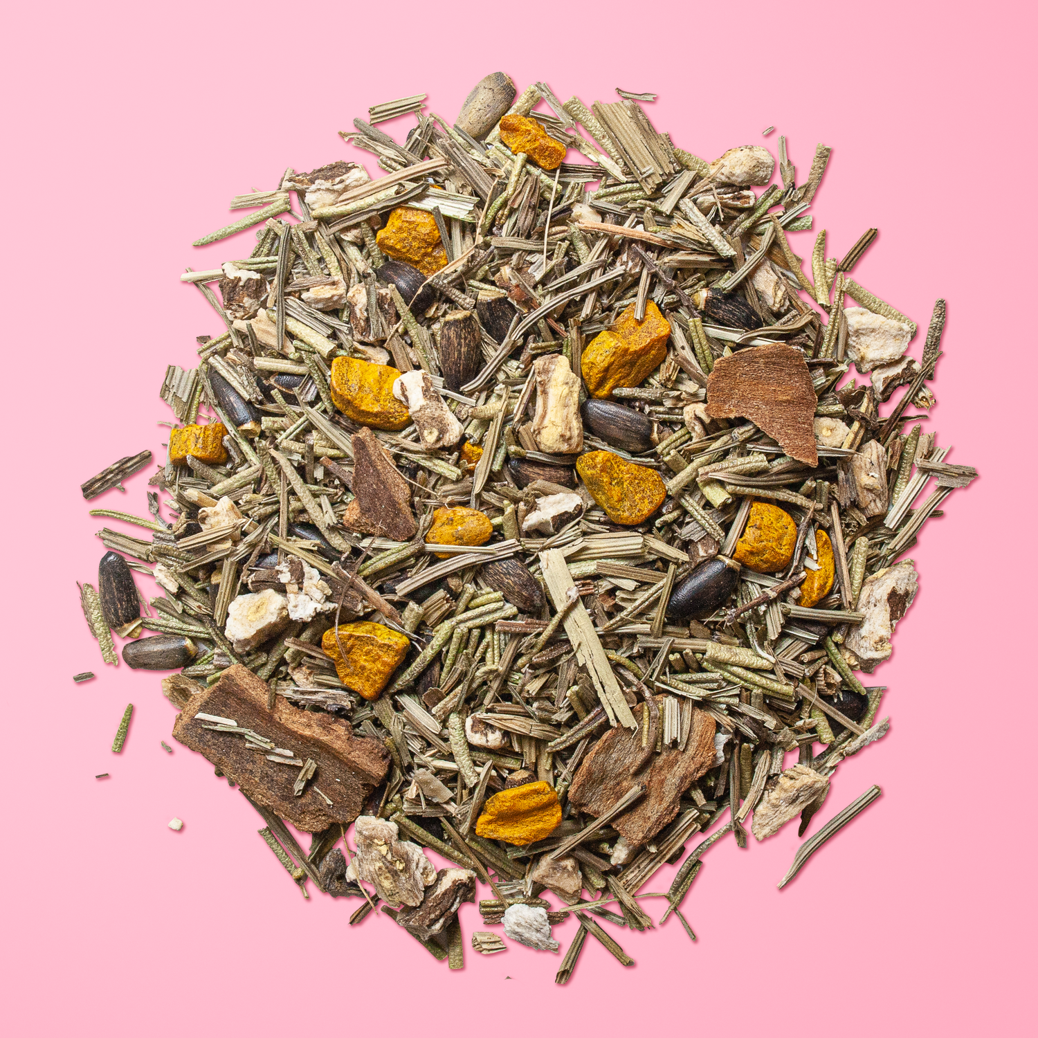 Picture Day — project image 6