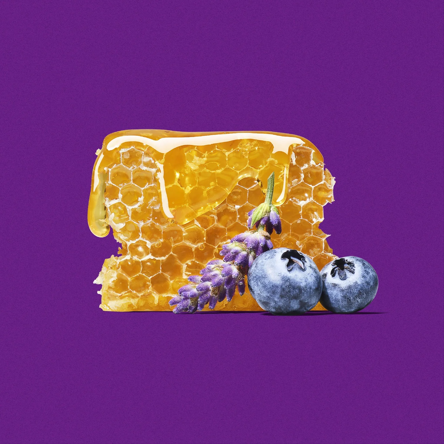 Alec's Ice Cream — project image 6