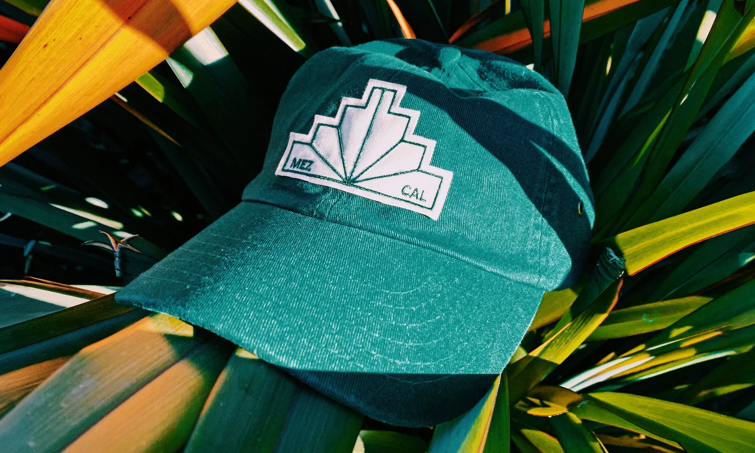 Elenita Mezcal — project image 17