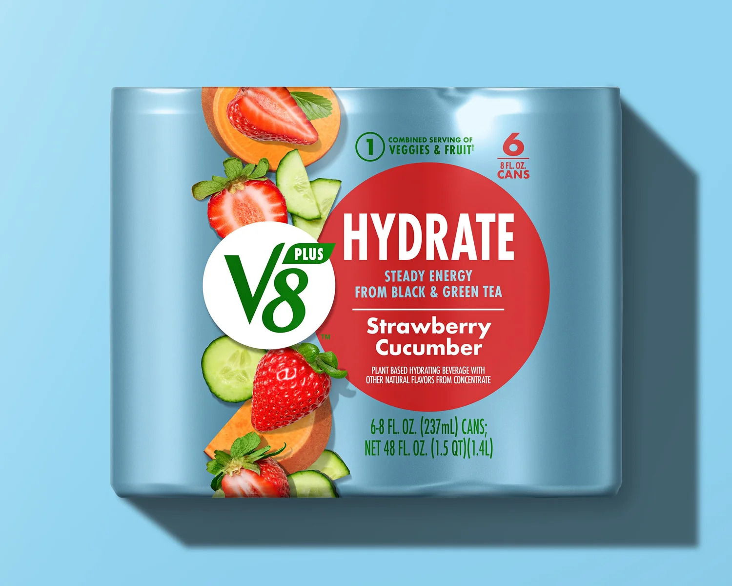 V8 — project image 22