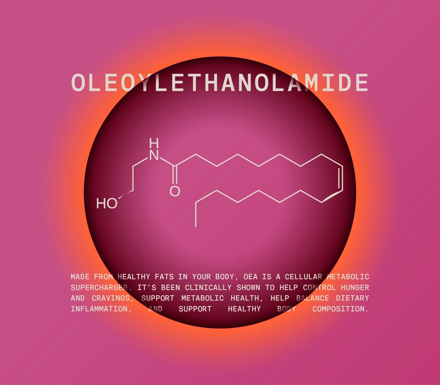 Mimio — project image 12