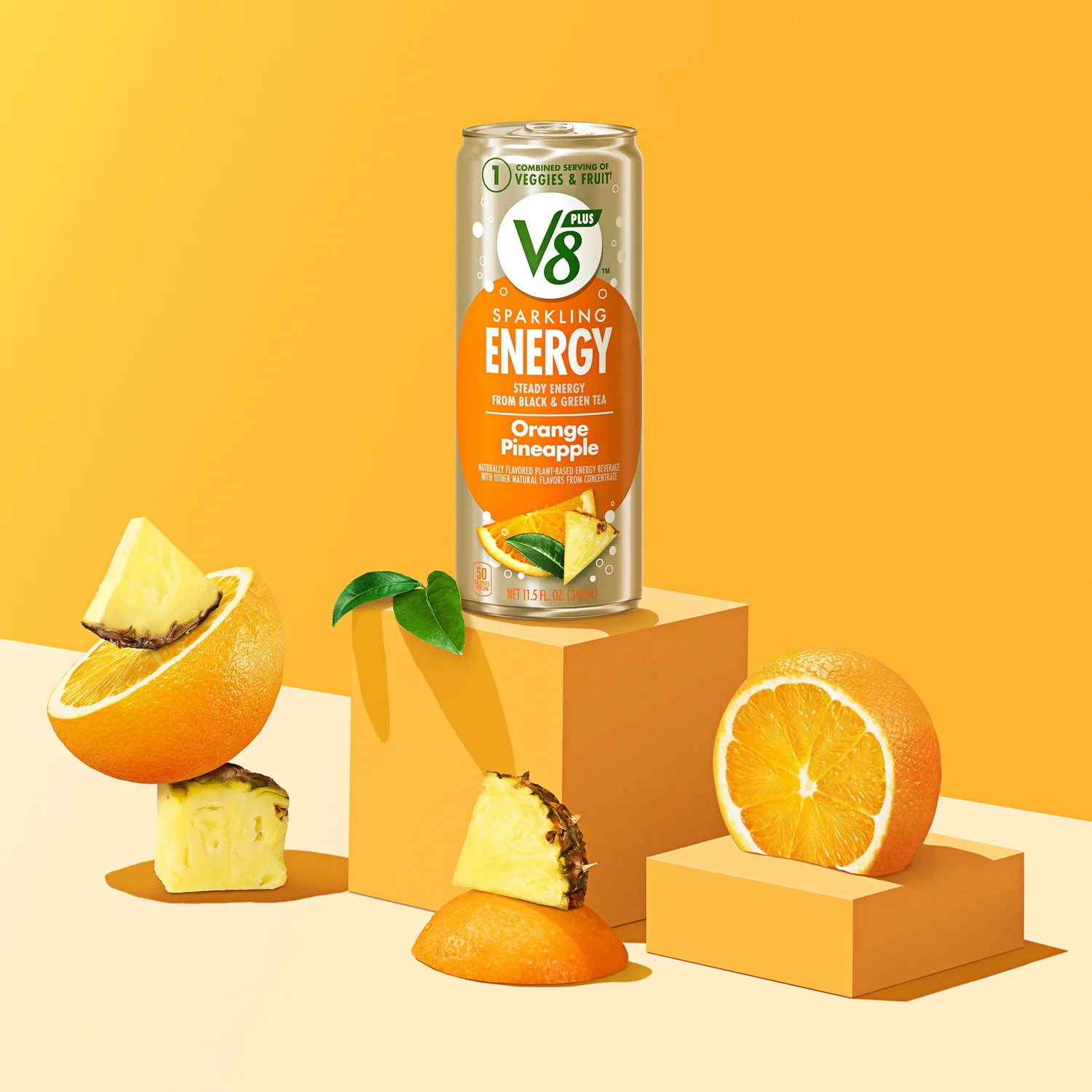 V8 — project image 19