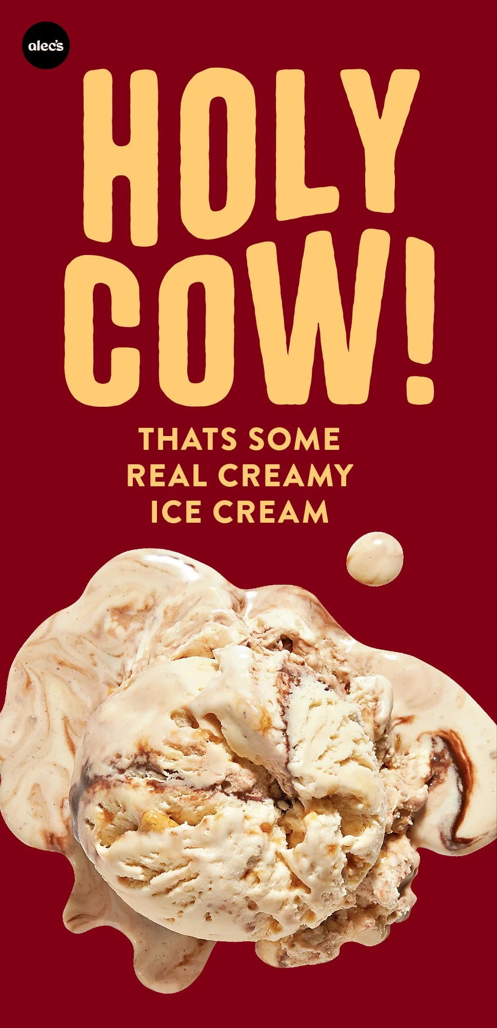 Alec's Ice Cream — project image 35