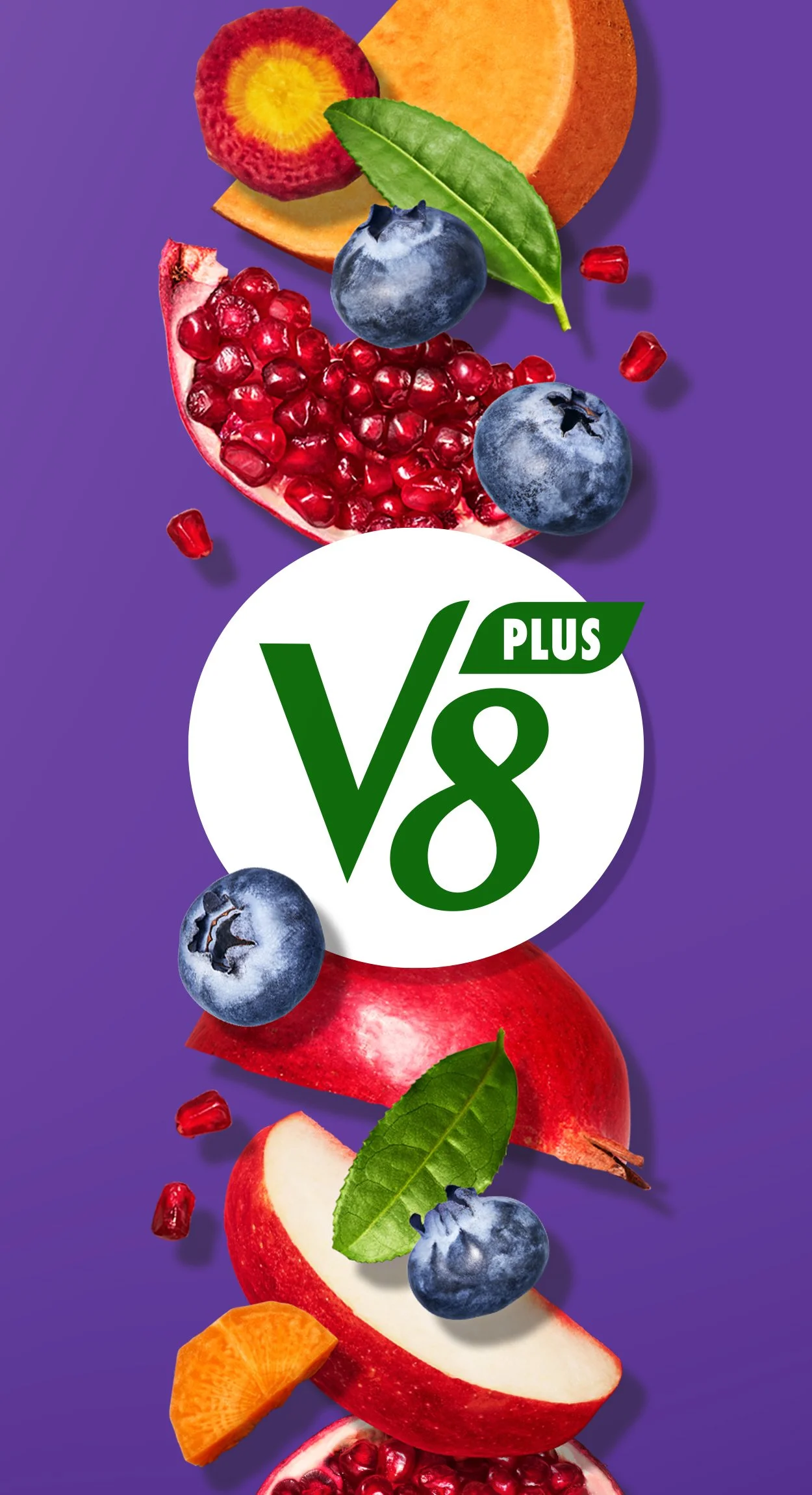 V8 — project image 15