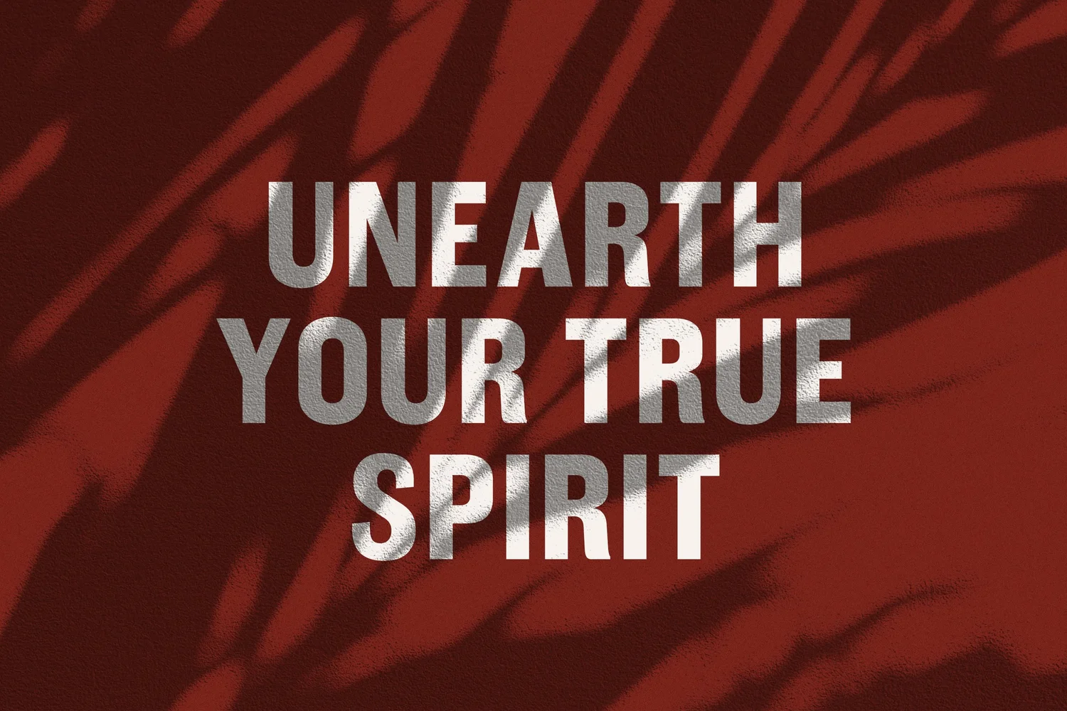 Elenita Mezcal — project image 1